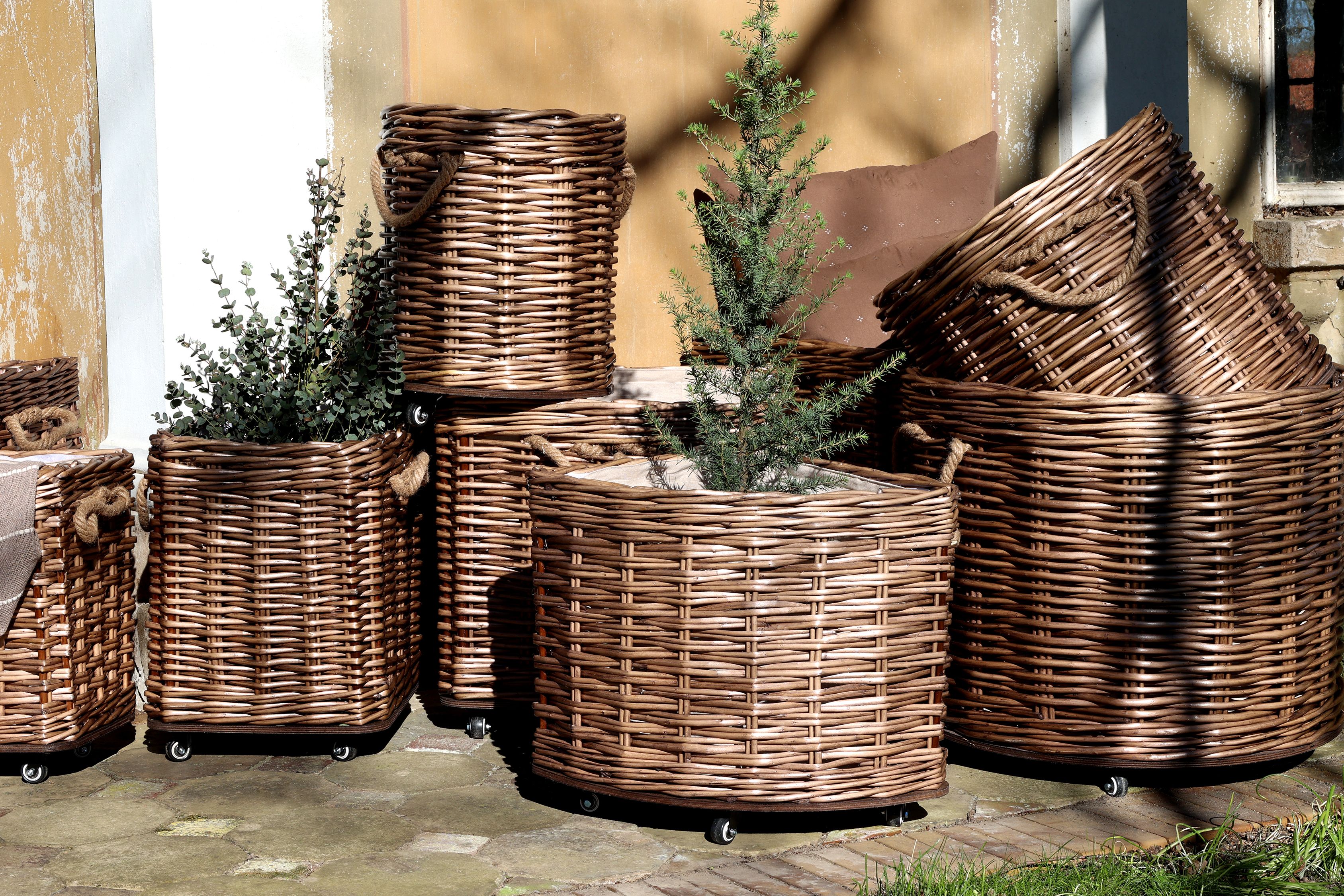 Übertöpfe mit Rädern, 3er-Set, dunkel natur