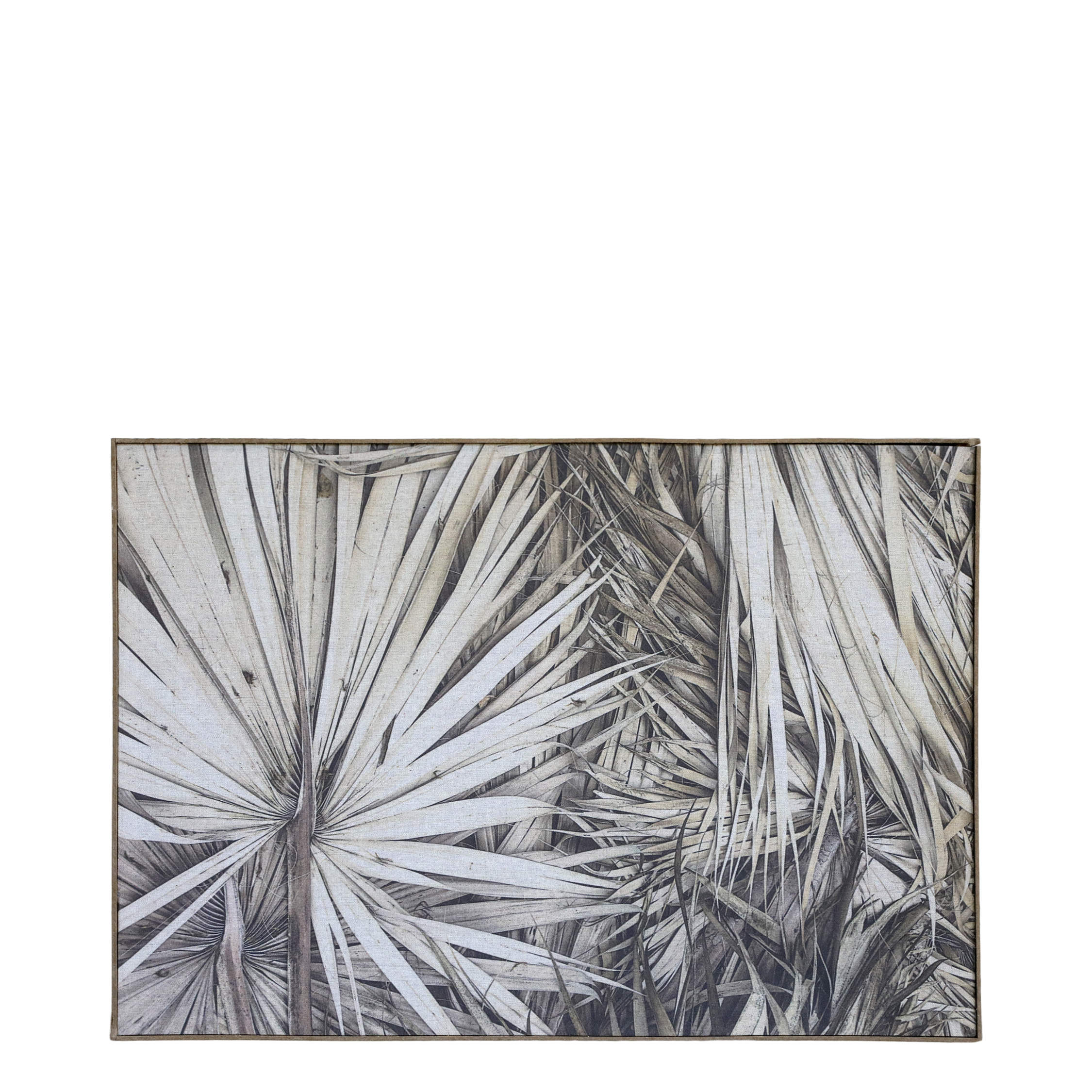 Picture w. palm leaves H53/L77cm