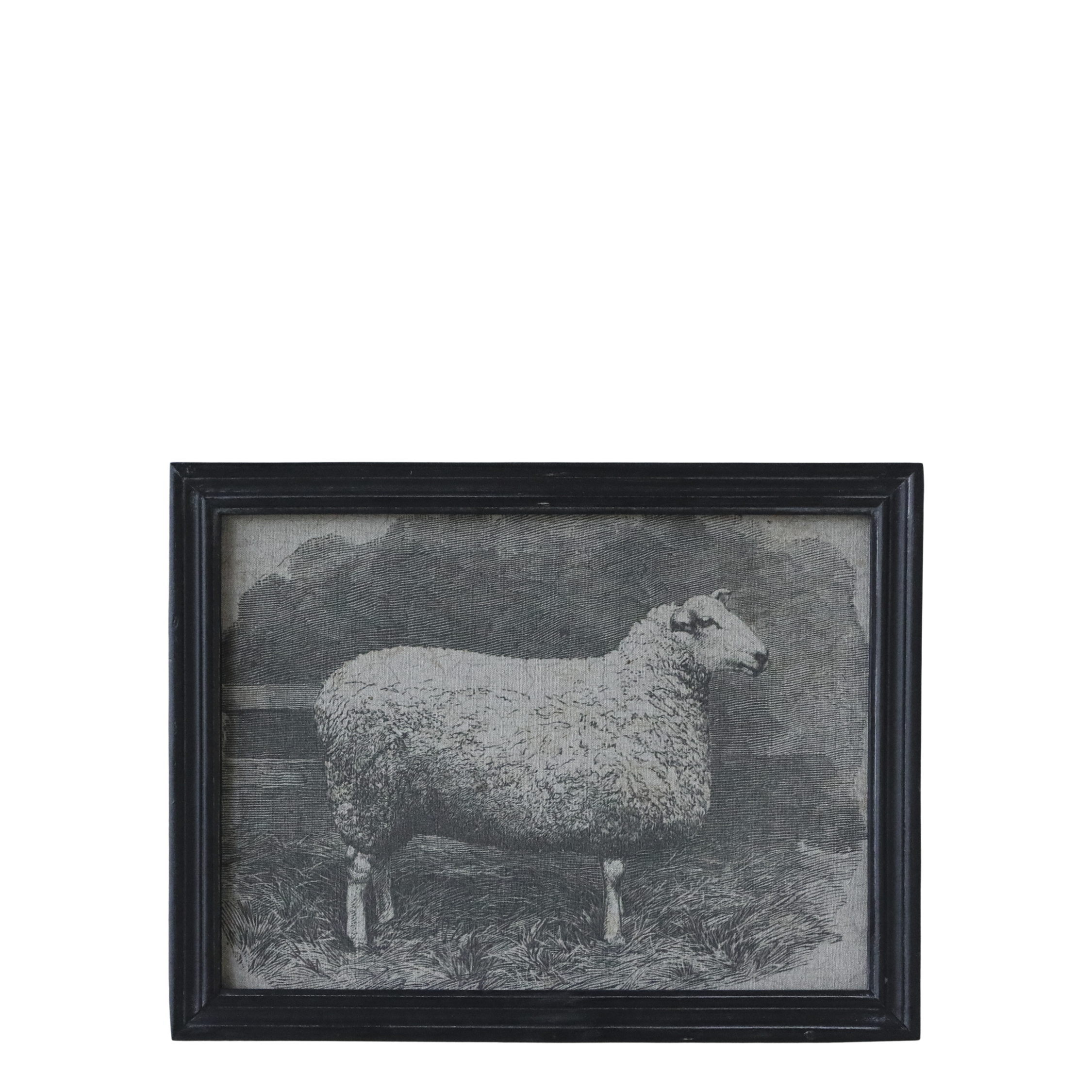 Picture w. animal motif & black frame H33/L43/W1.5 cm black