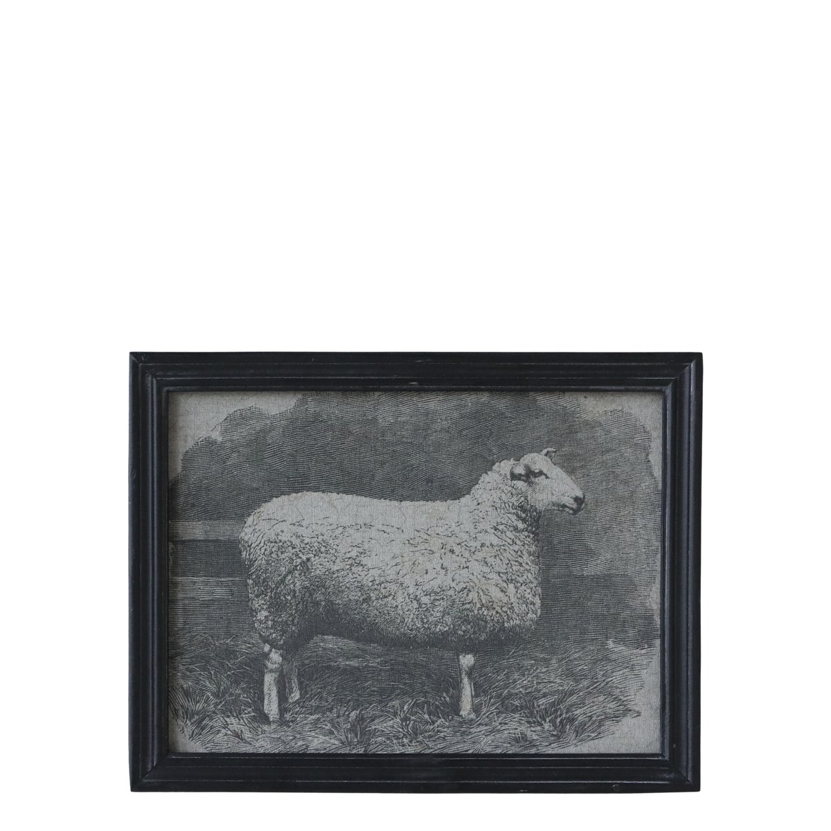 Bild mit Tiermotiv im schwarzen Rahmen, 43 cm lang