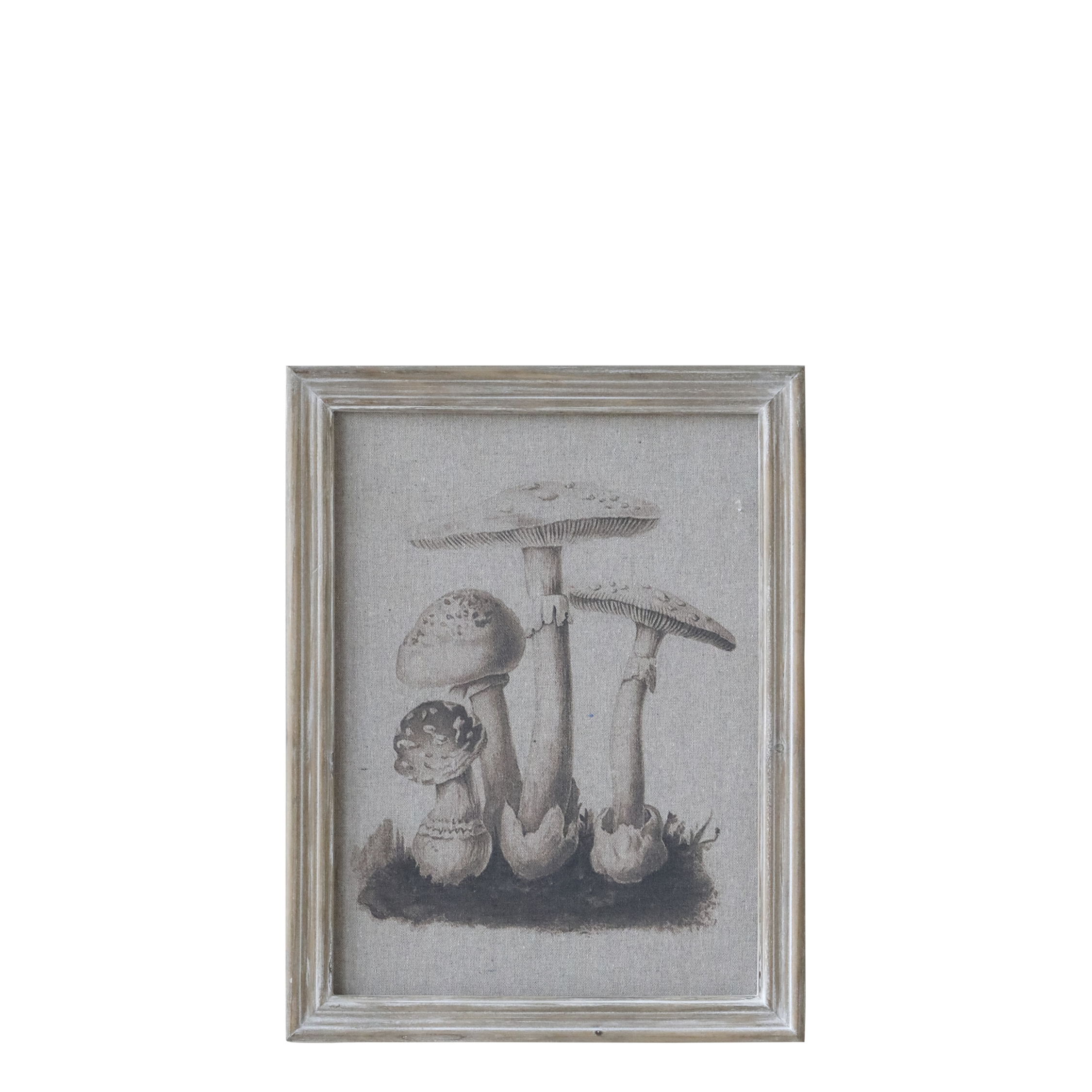 Picture w. mushroom motif & nature frame H33/L43/W1.5 cm nature