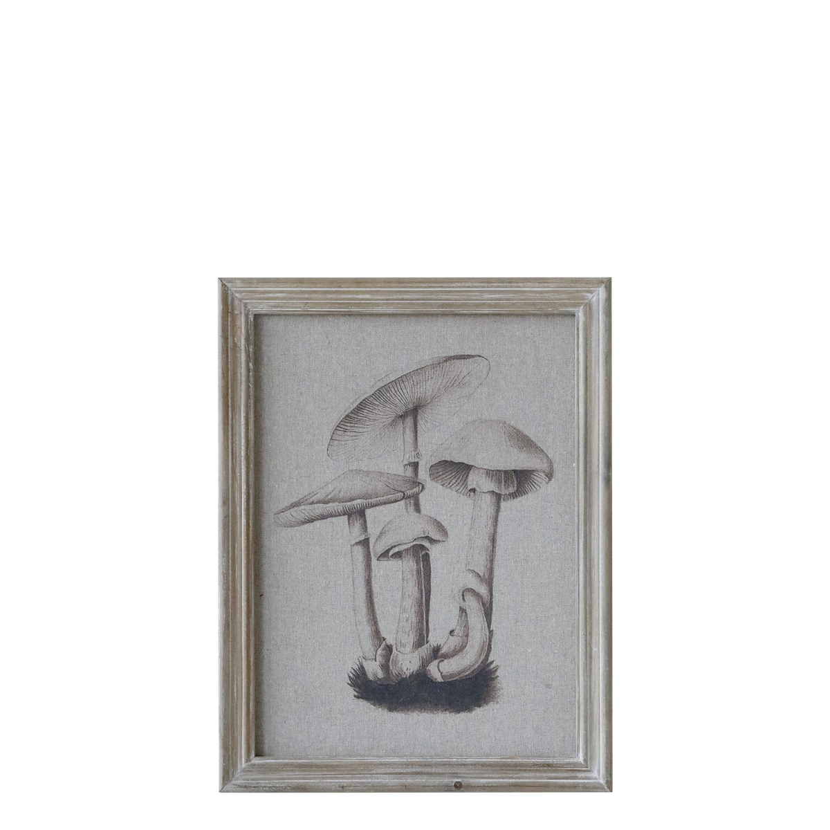 Bilderrahmen mit Pilzmotiv, Naturrahmen, 43x33 cm
