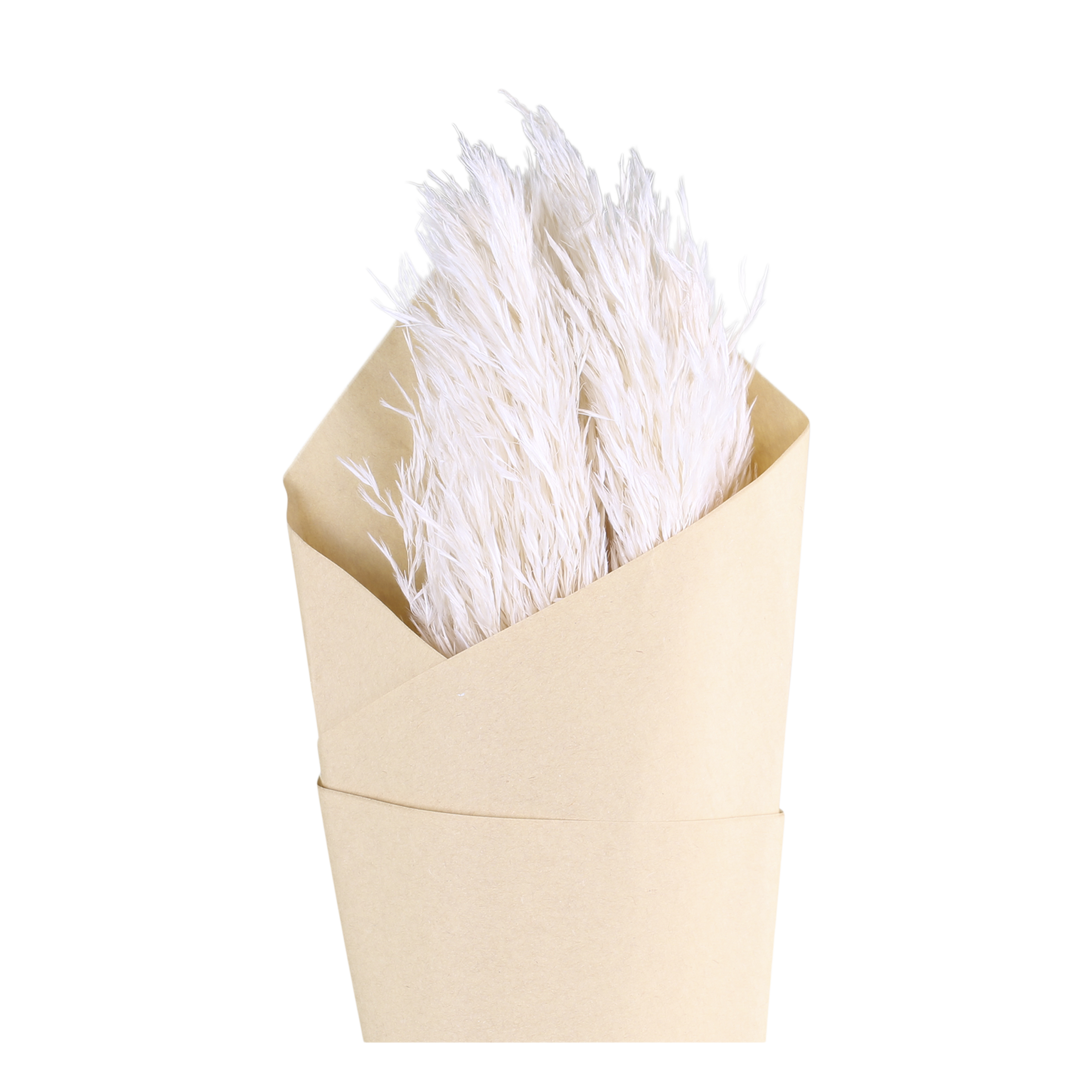 Getrocknete Blumen Pampasgras 75 cm creme 6 Stück
