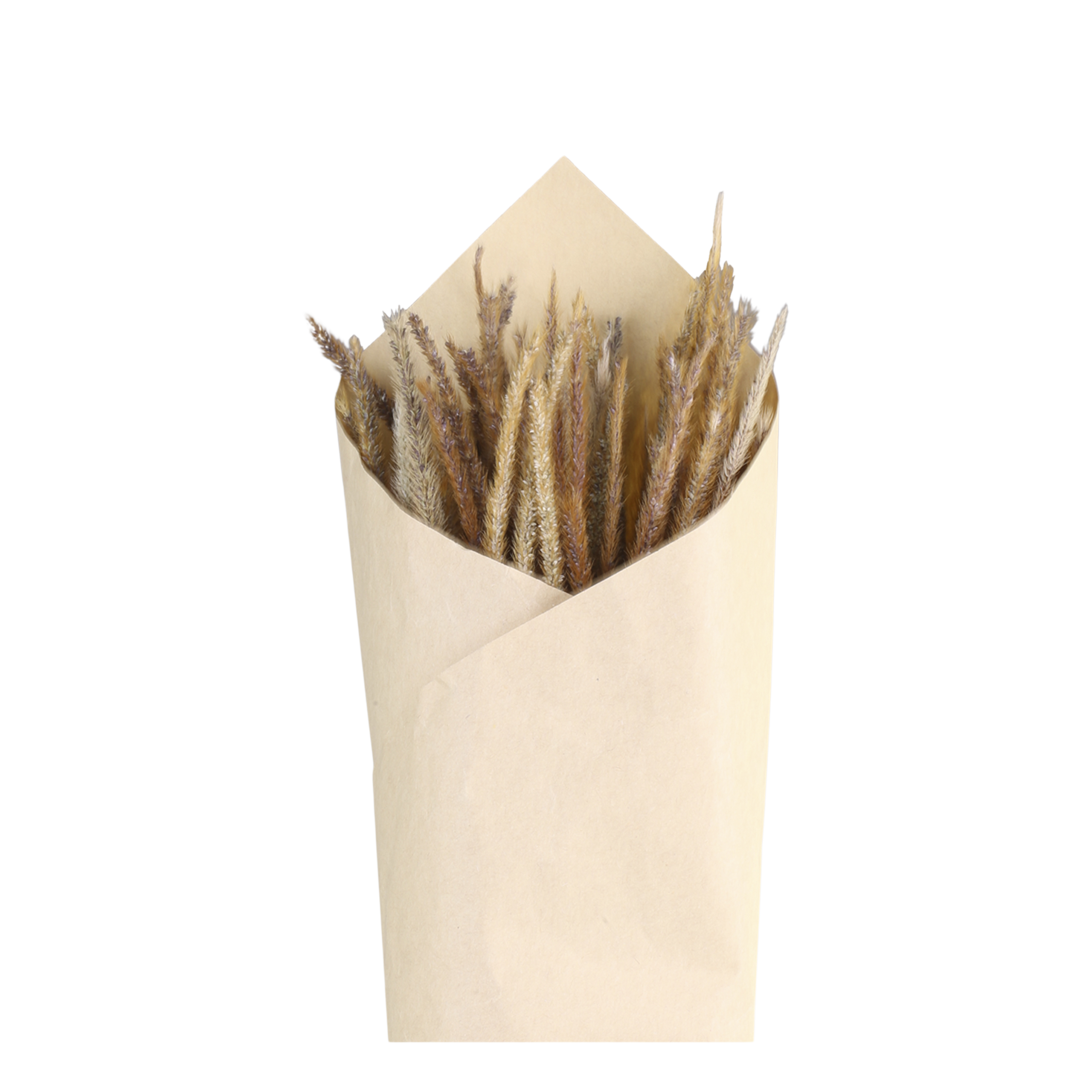 Getrocknete Blume Fleur – Lieschgras, 70 cm hoch