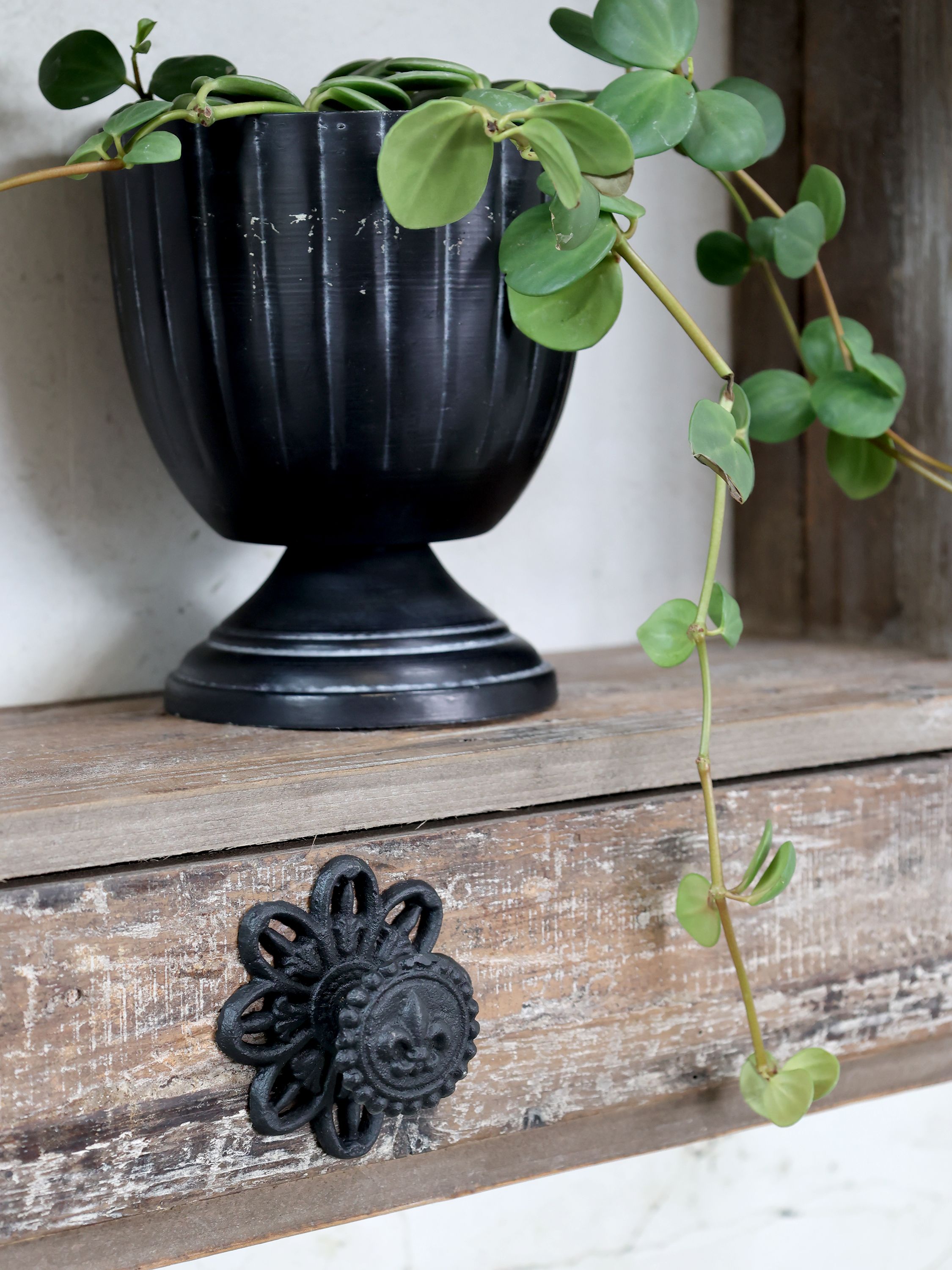 Griff mit französischer Lilie, Eisen, 8 cm, antik schwarz