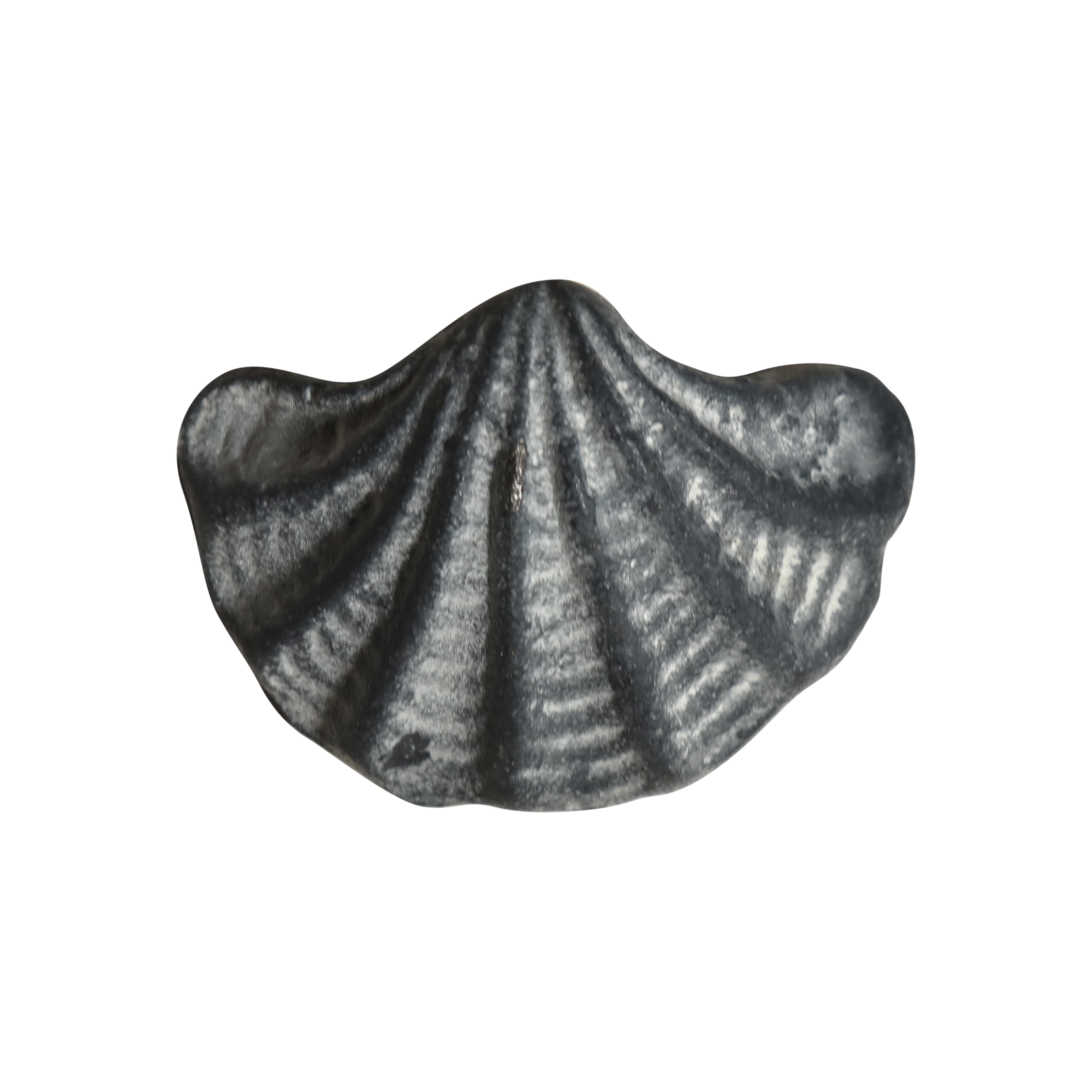 Griff Muschel aus Eisen in Antique Grau, 4,5 cm hoch
