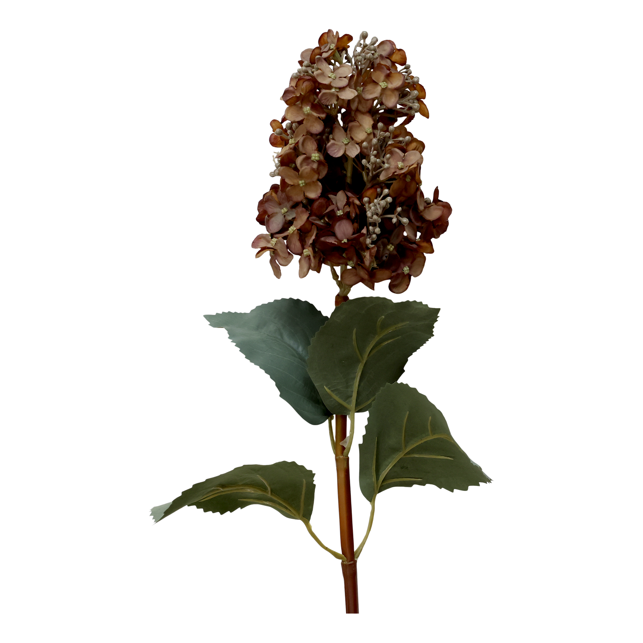Fleur Hydrangeas H85 cm mocca