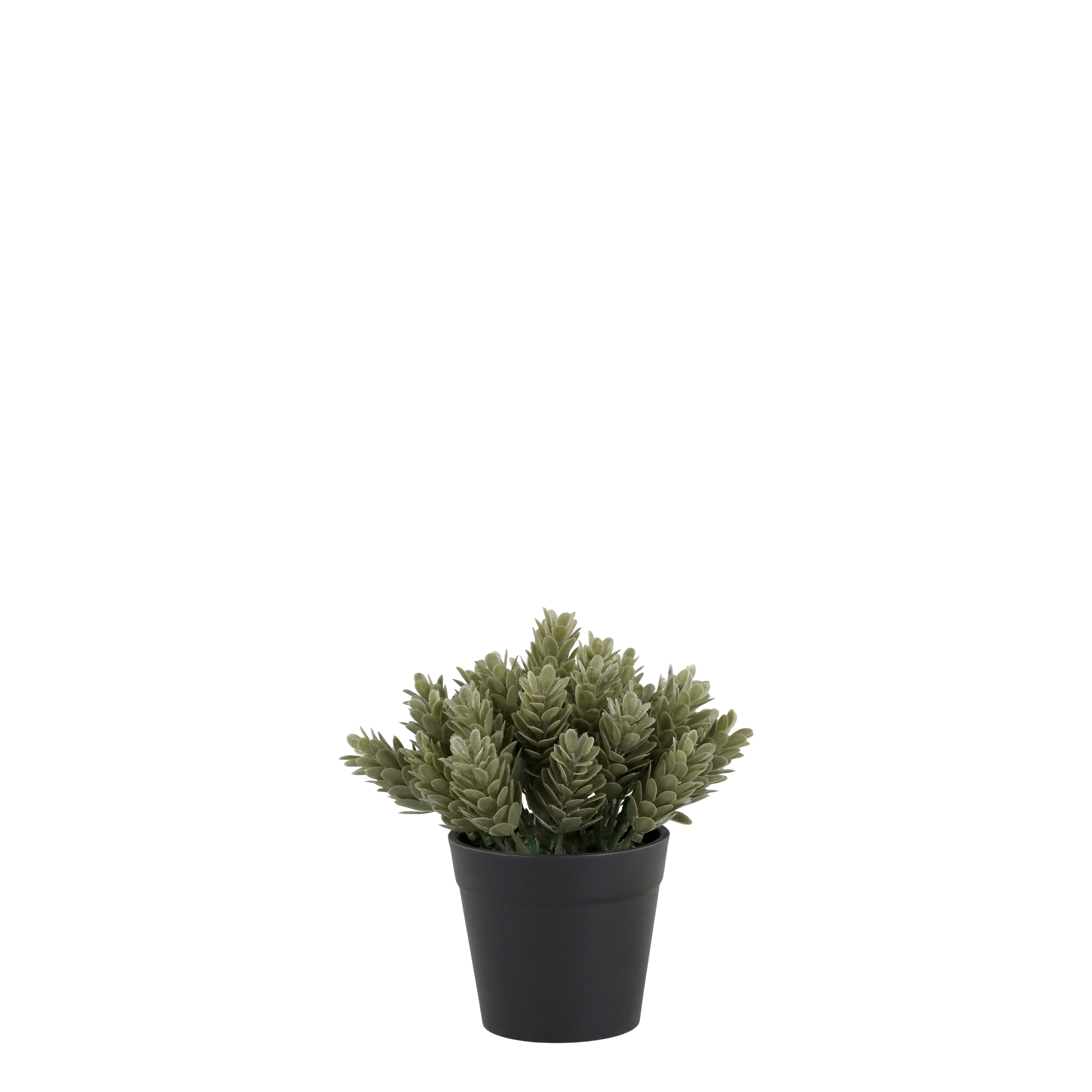 Kunstpflanze Fleur mit Topf, 15 cm hoch, grün