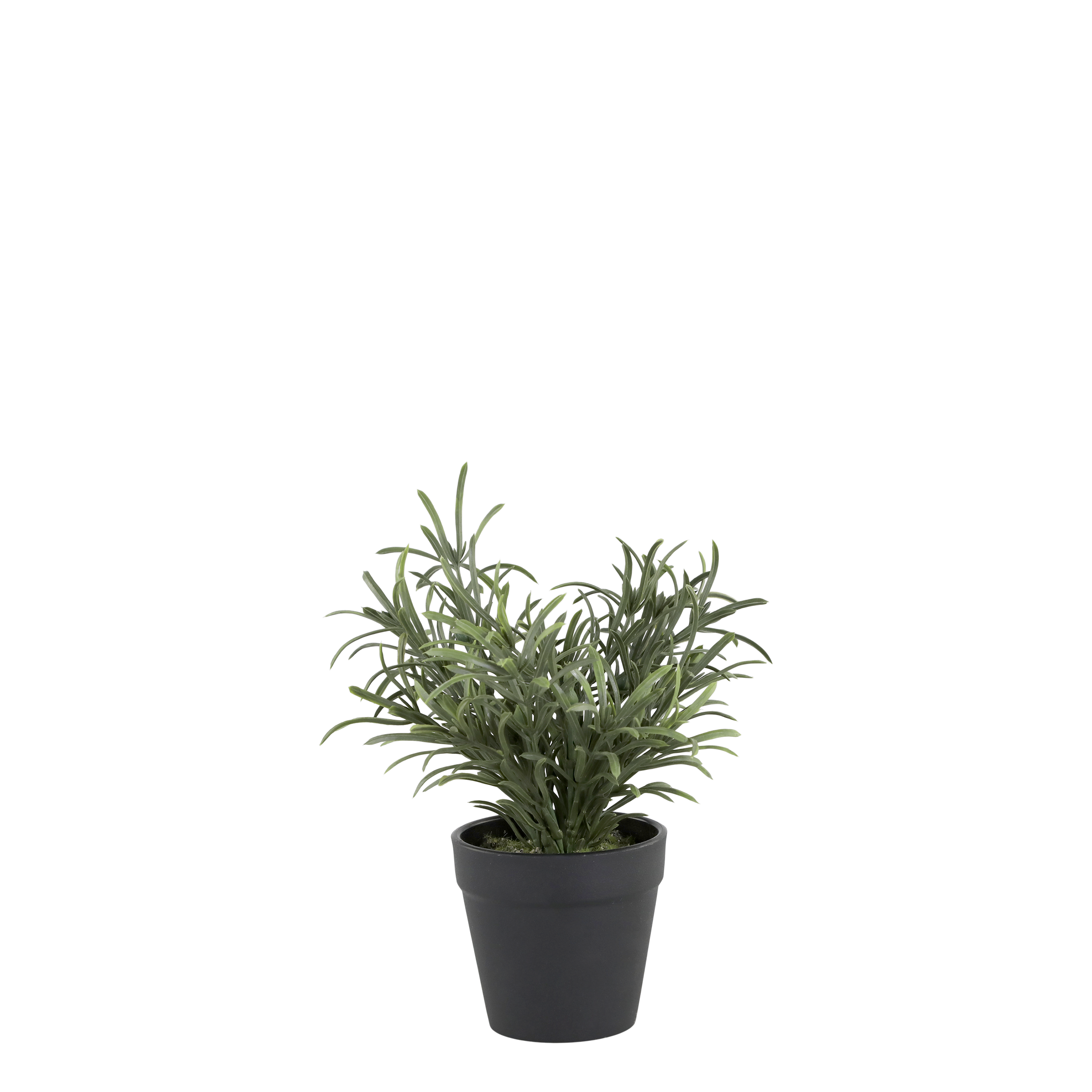 Fleur Plant H25/D9 cm green
