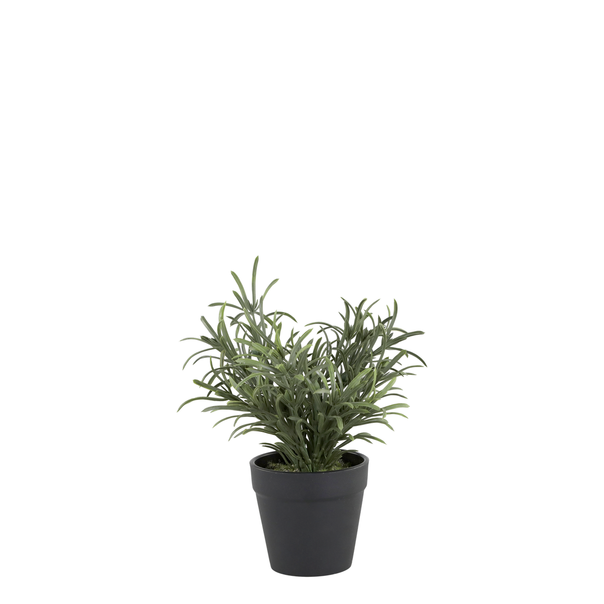 Wohnzimmer Pflanze: Kunstpflanze Fleur, grün, 25 cm