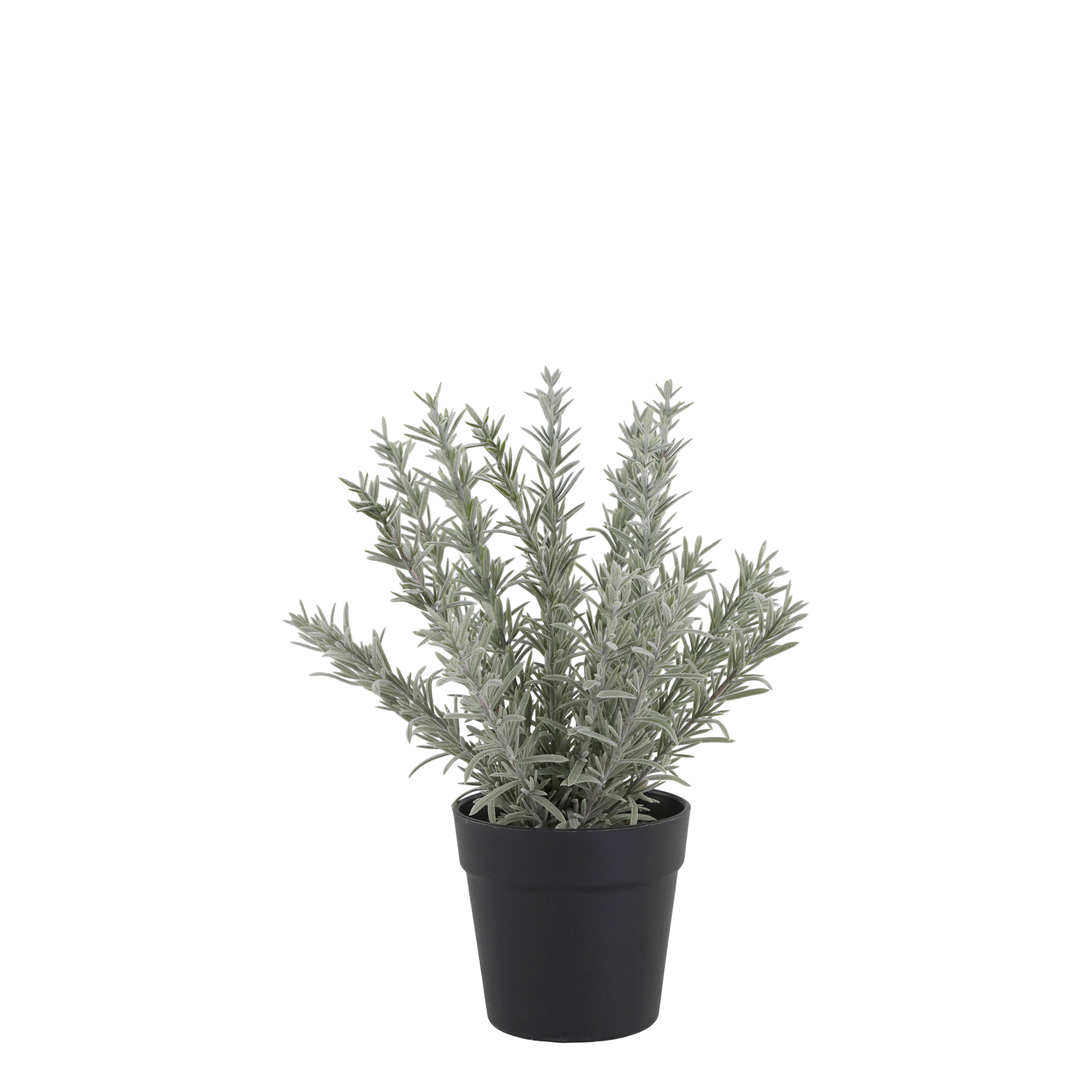 Fleur Rosemary H30/D11 cm green