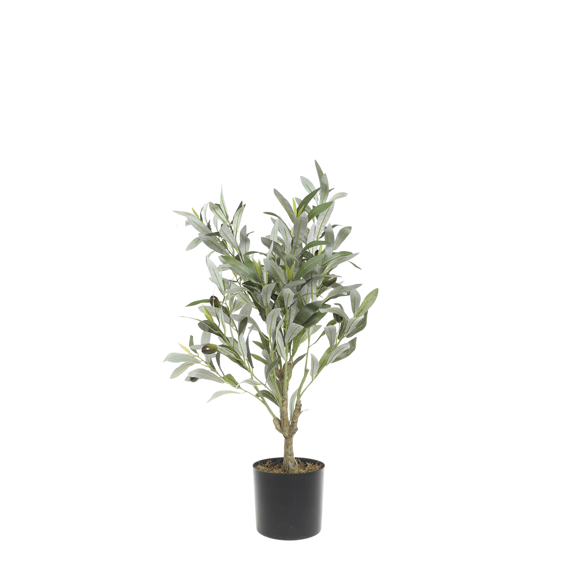 Fleur Olive Tree H73/D12 cm green