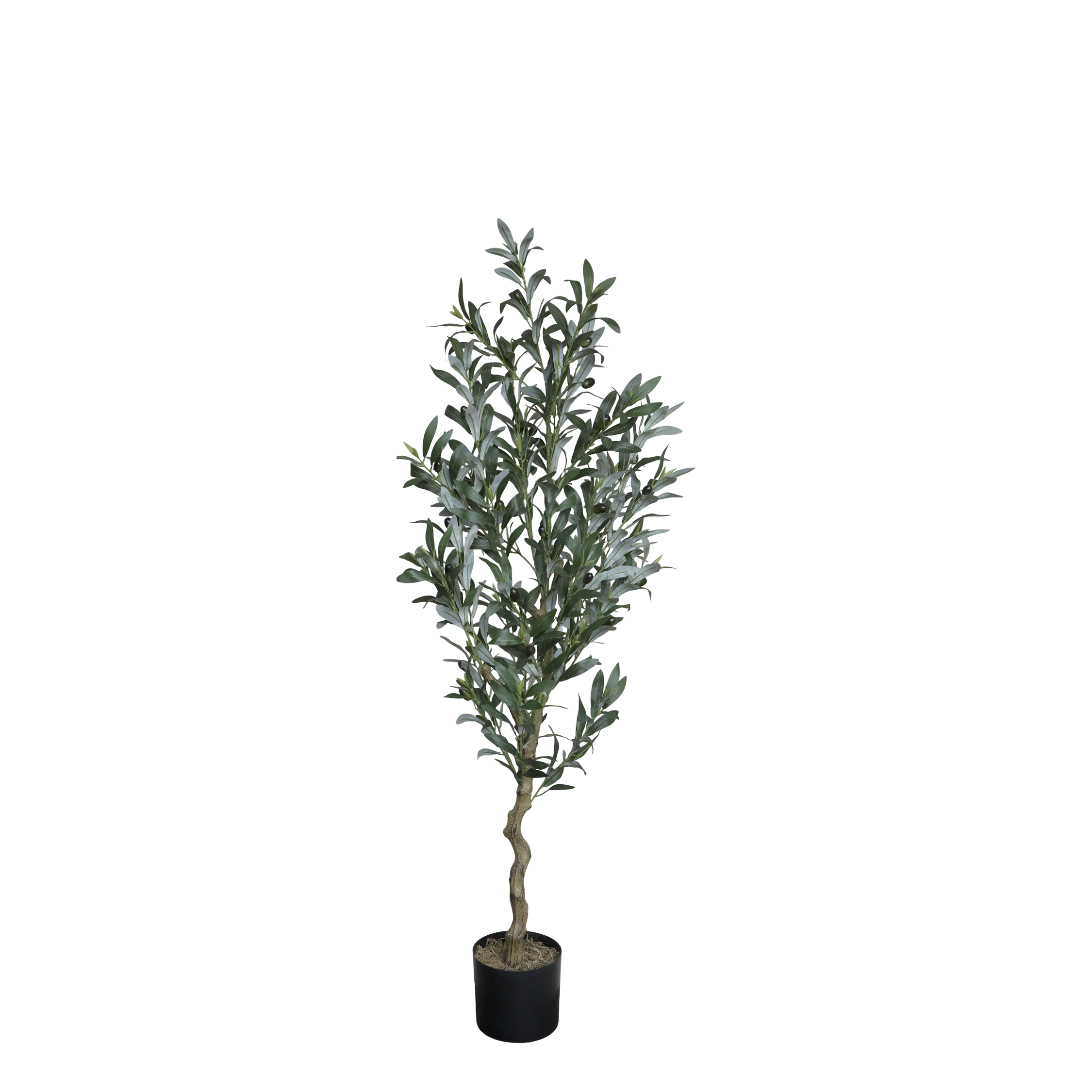 Fleur Olive Tree H132/D15 cm green