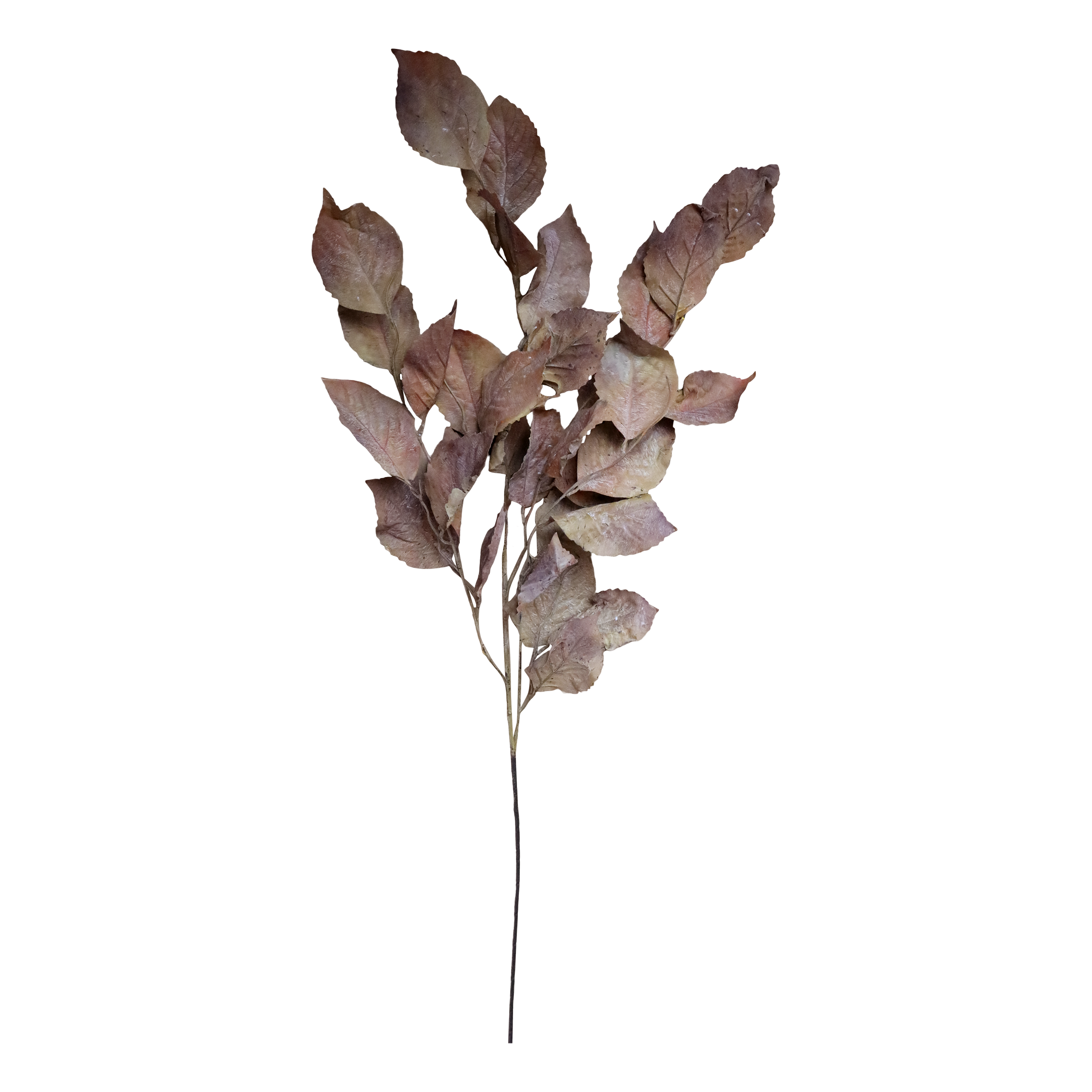 Fleur Branch w. leaves H104 cm terracotta