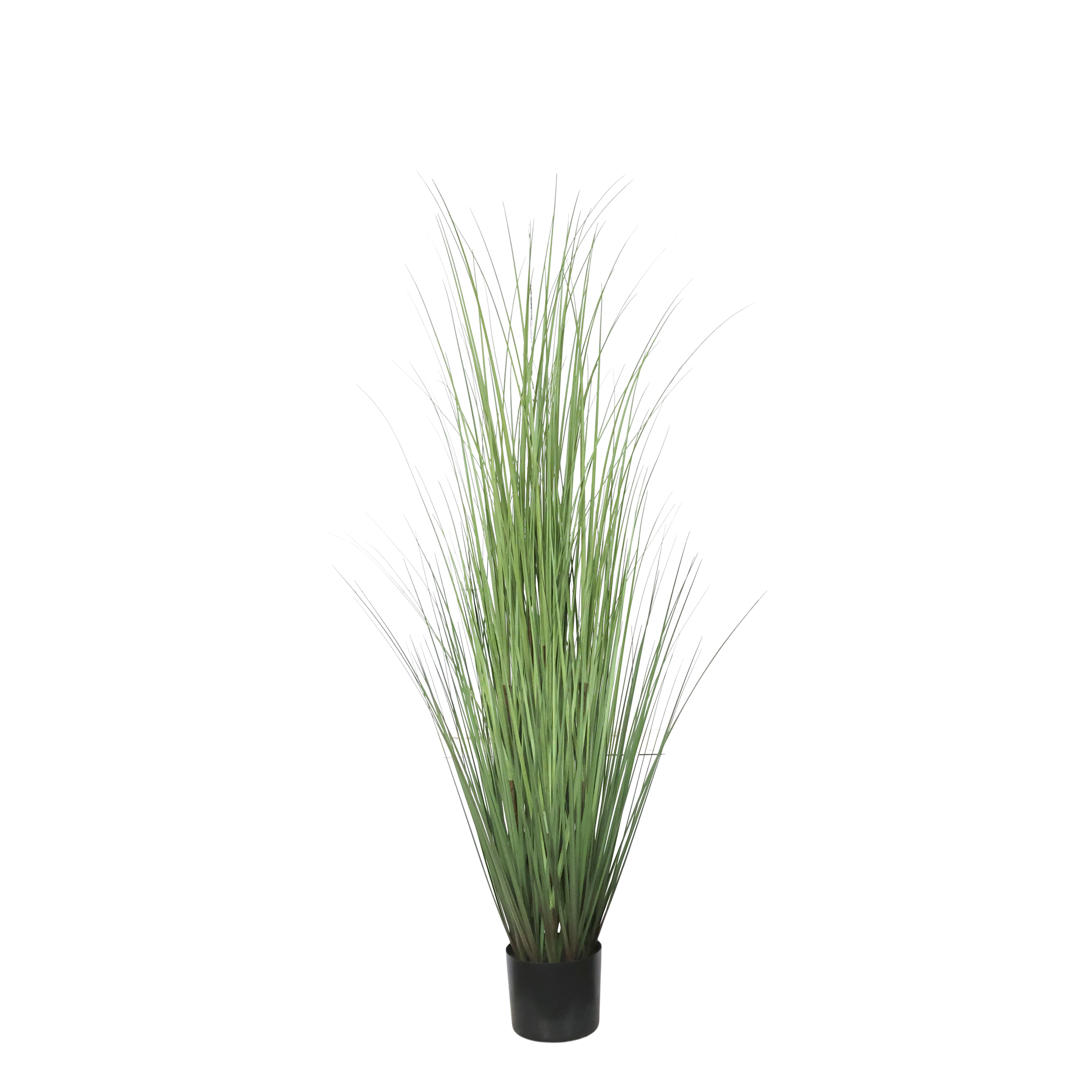 Fleur Kunstpflanze Schilf, 150 cm hoch, Grün