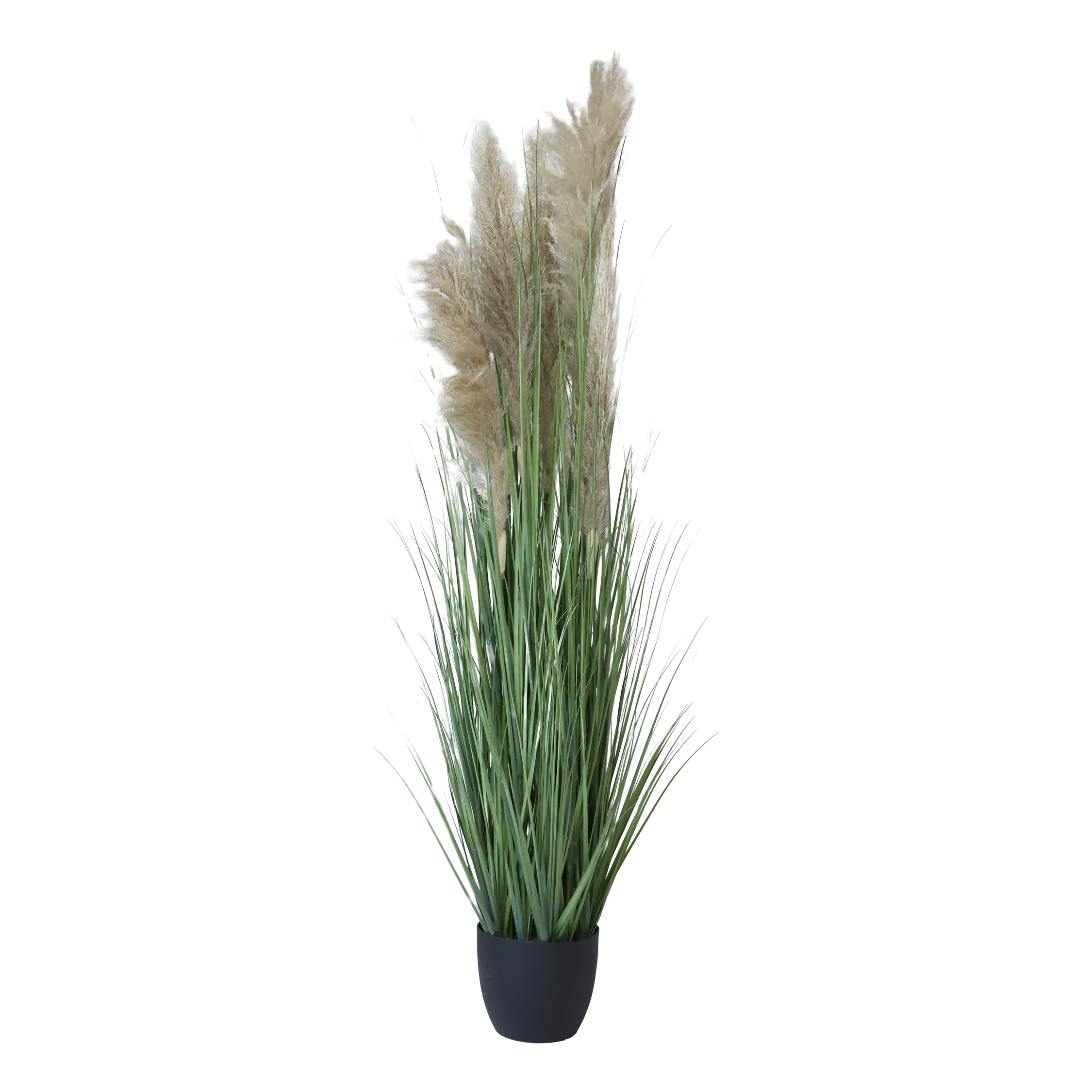 Fleur Reed Plant H170 cm green