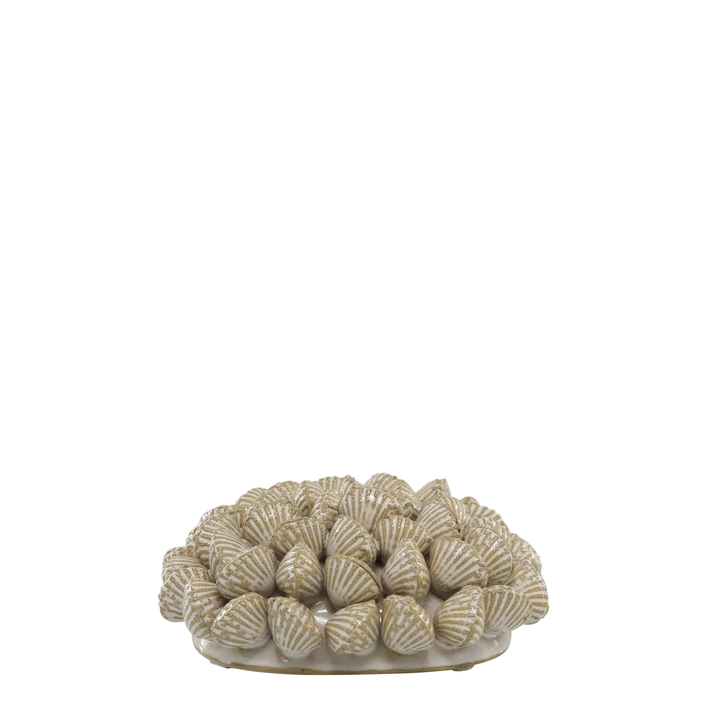 Muscheln Deko aus Steingut, 14,5 cm, creme