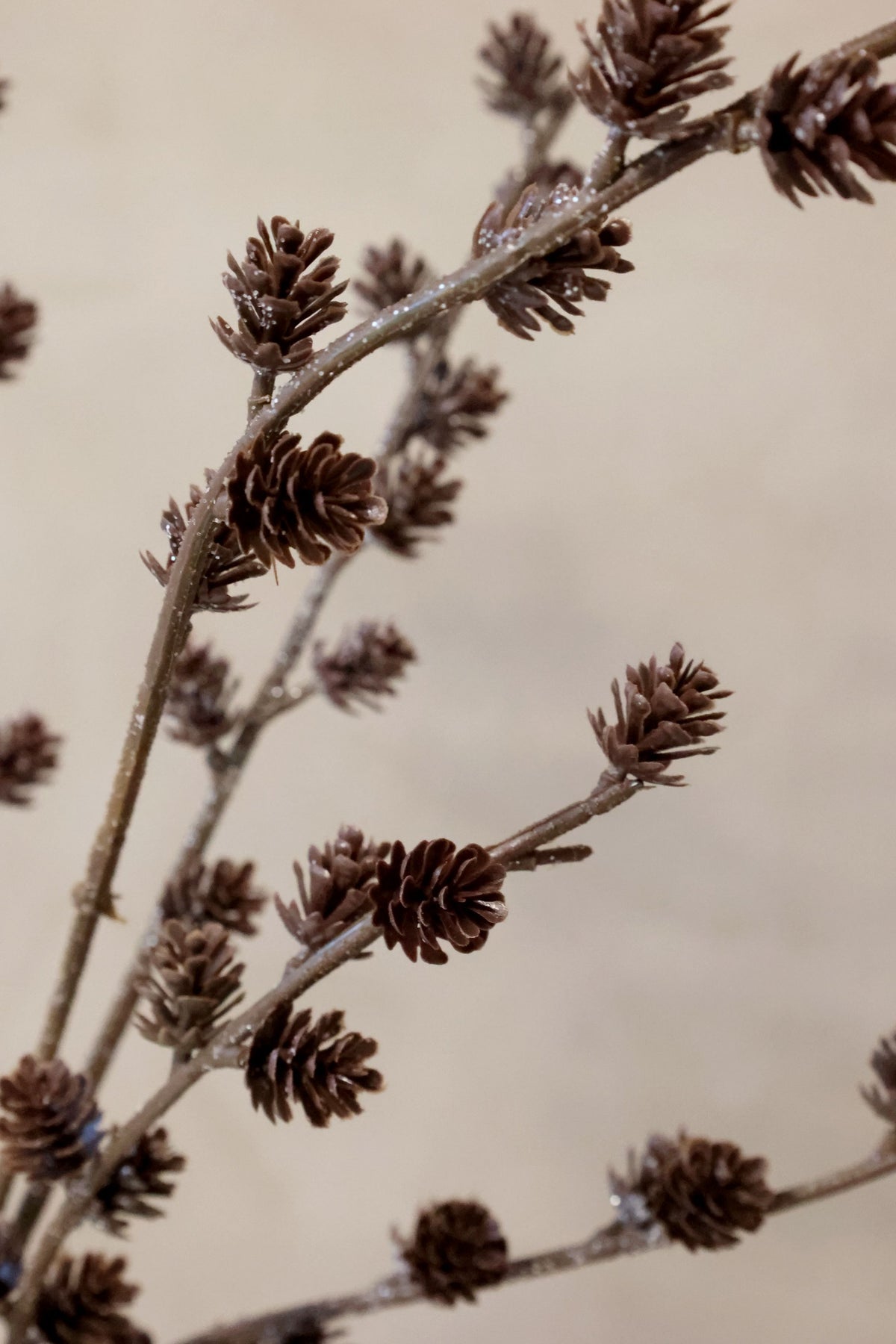 Deko-Blume mit Zapfen und Glitzer, 112 cm hoch