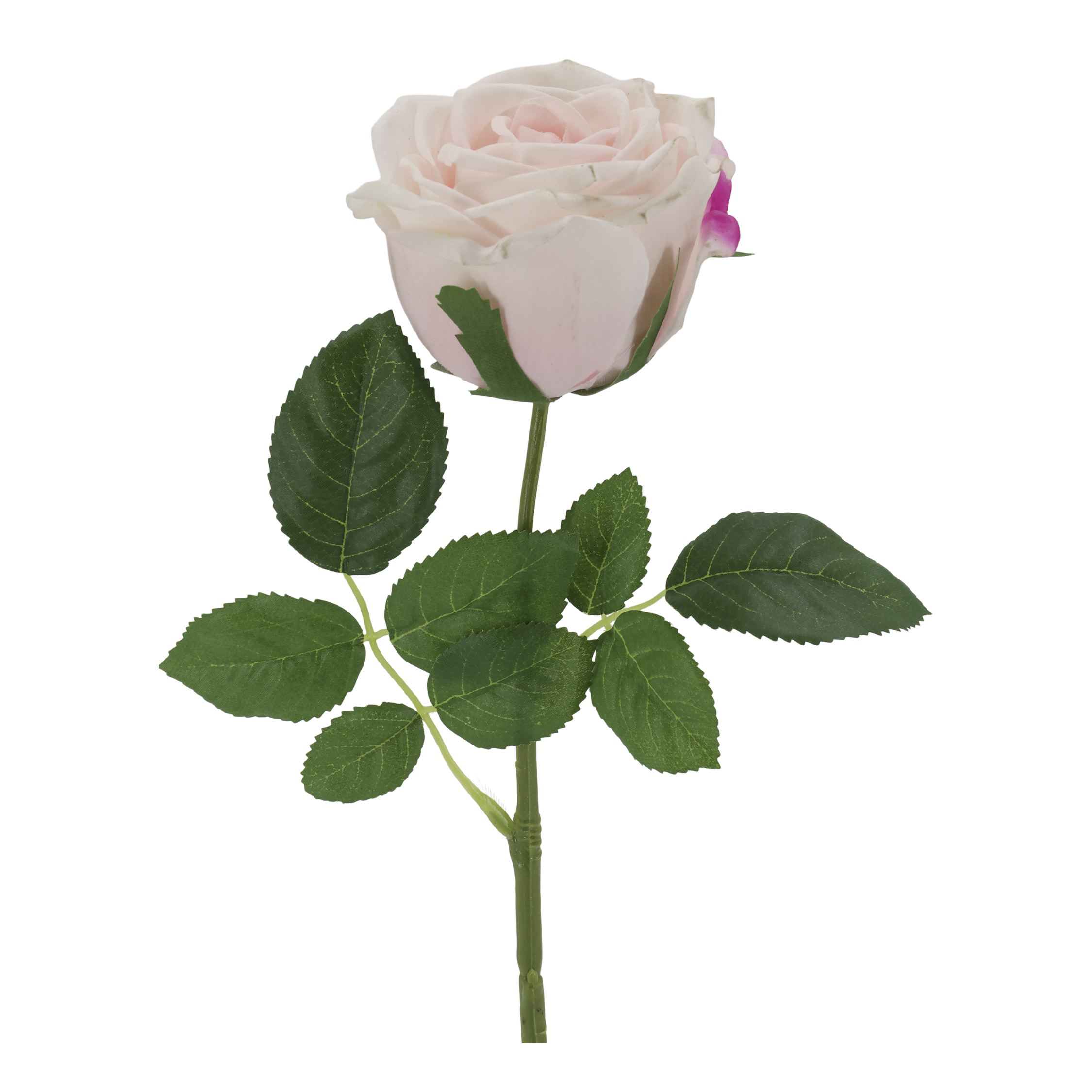 Fleur Rose Silk Touch H43 cm rose