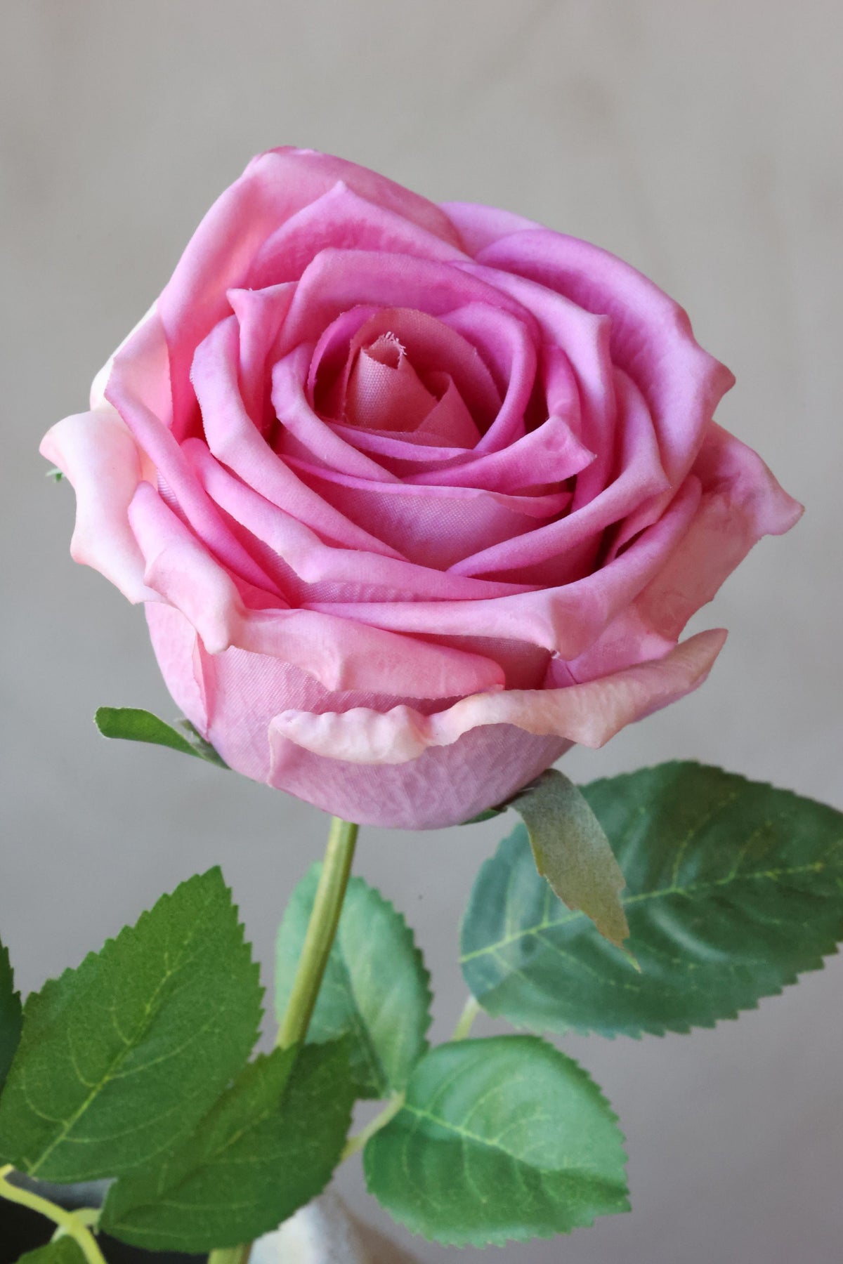 Rose Blume Fleur in Blush Pink, 43 cm hoch