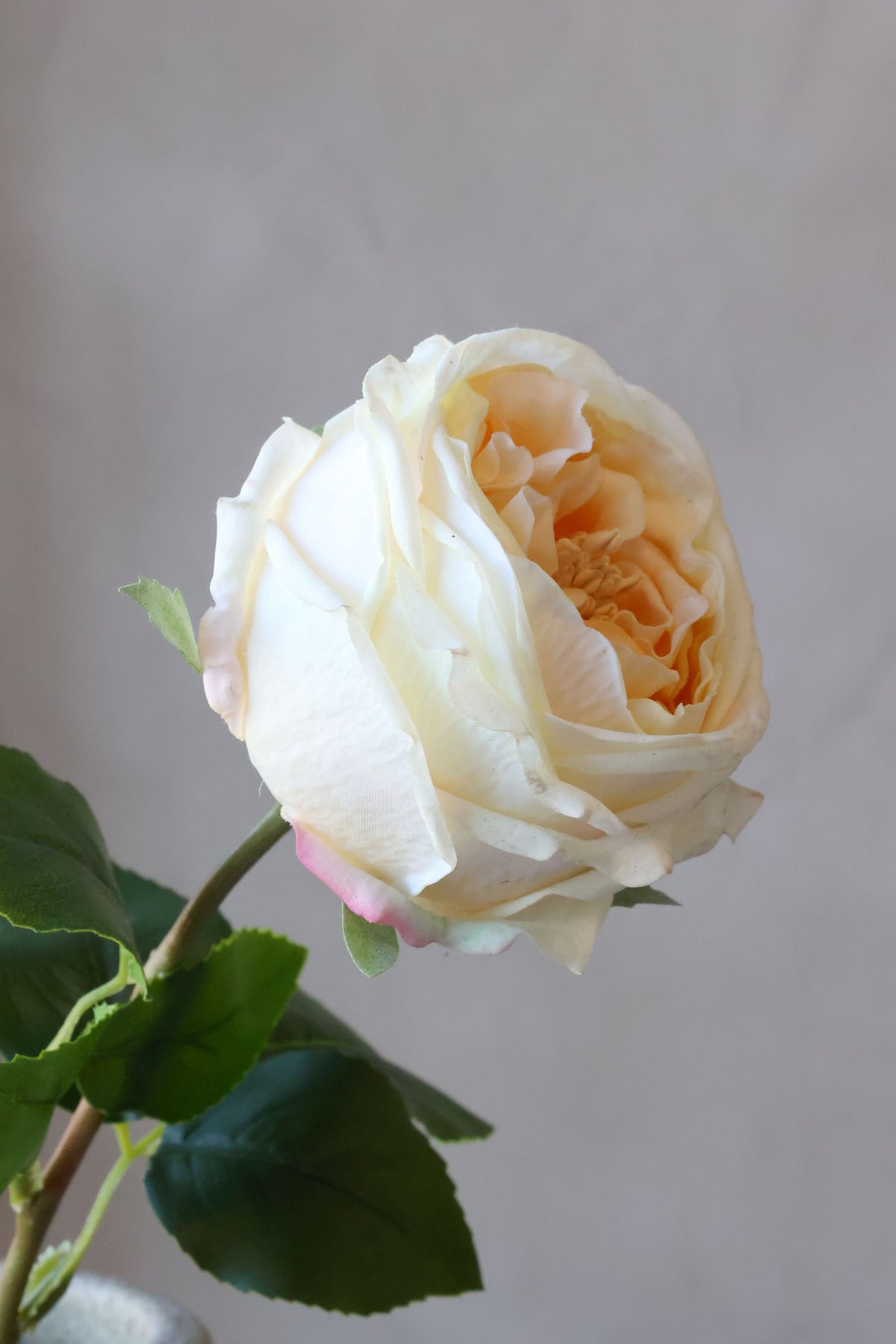 Kunstrose Blume Fleur Silk Touch Champagner 48 cm