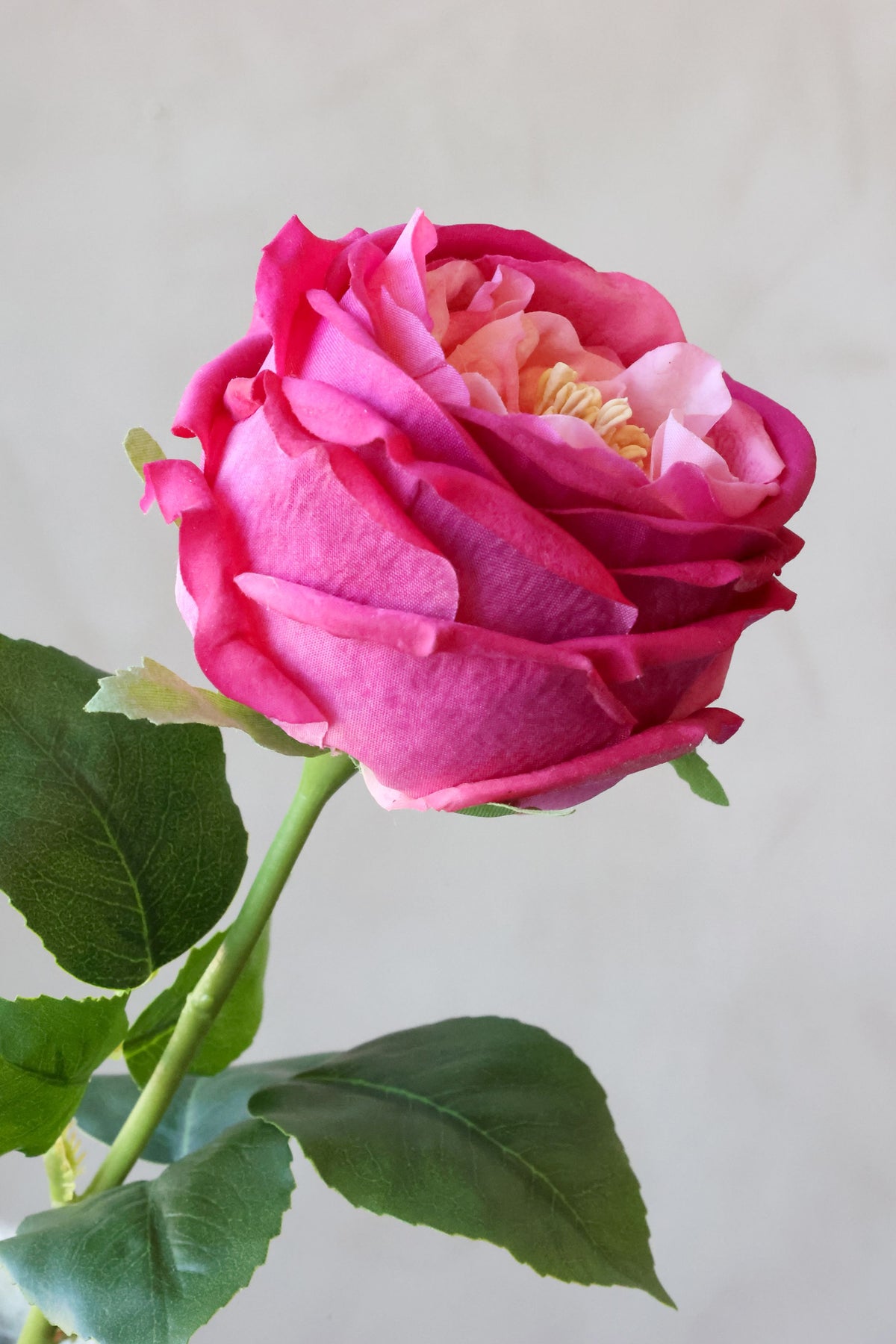Rose als Blume: Fleur Silk Touch Kunstrose, 48 cm