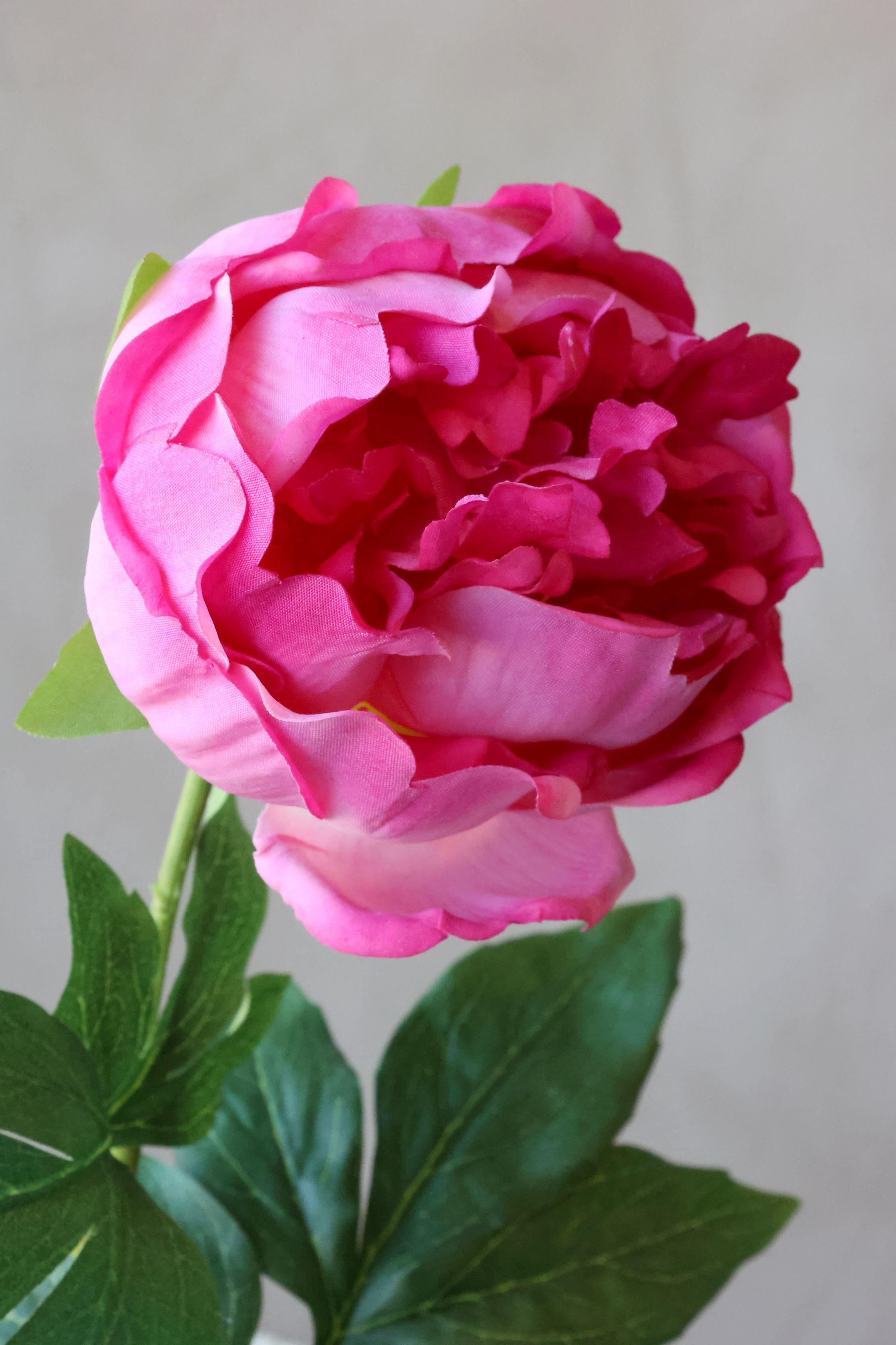 Tischlampe mit Touch: Fleur Pfingstrose Silk Touch, 60 cm