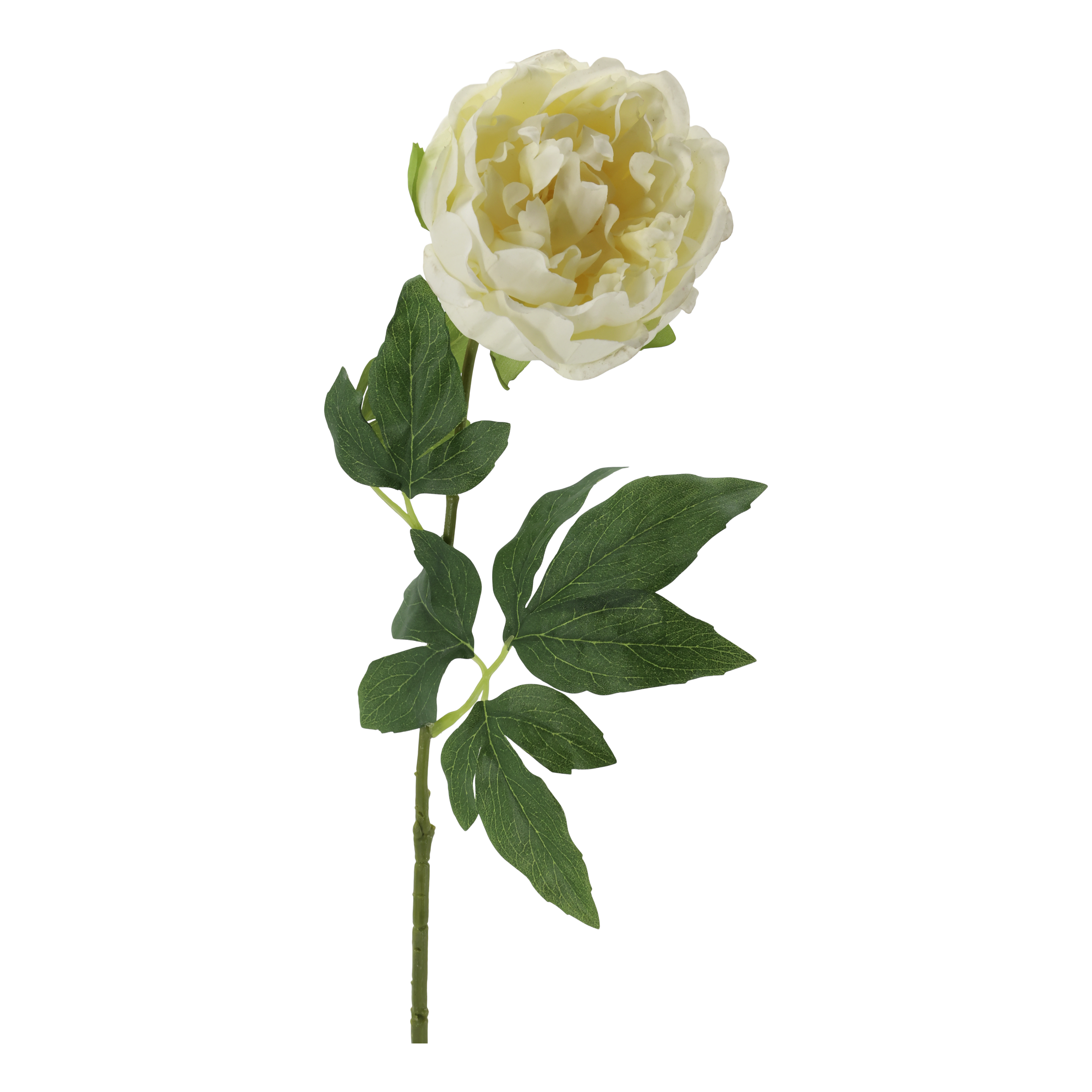 Fleur Peony Silk Touch H60 cm cream