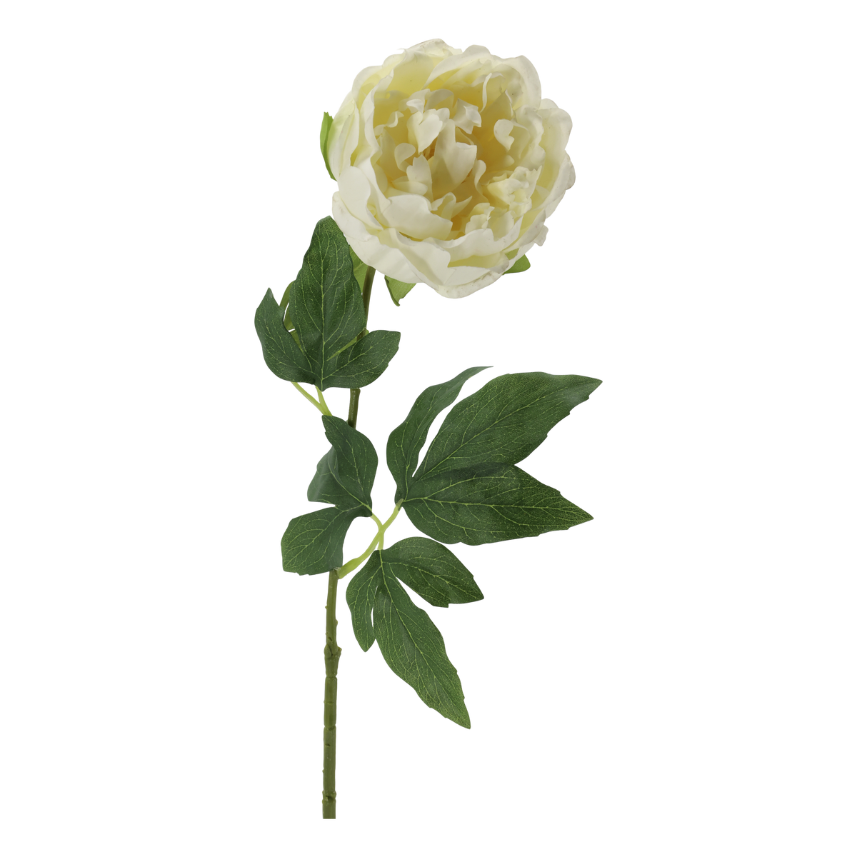 Kunstblume Pfingstrose mit Stiel, 60 cm, creme