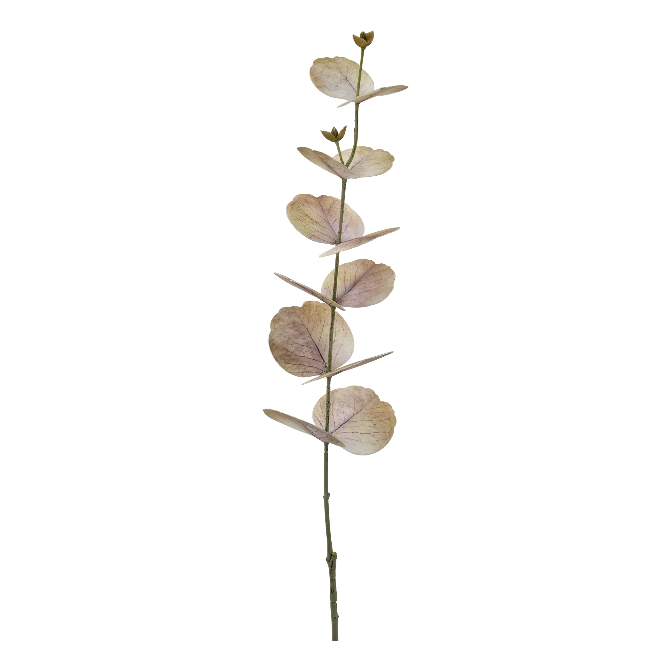 Fleur Eucalyptus Silk Touch H77 cm dusty rose