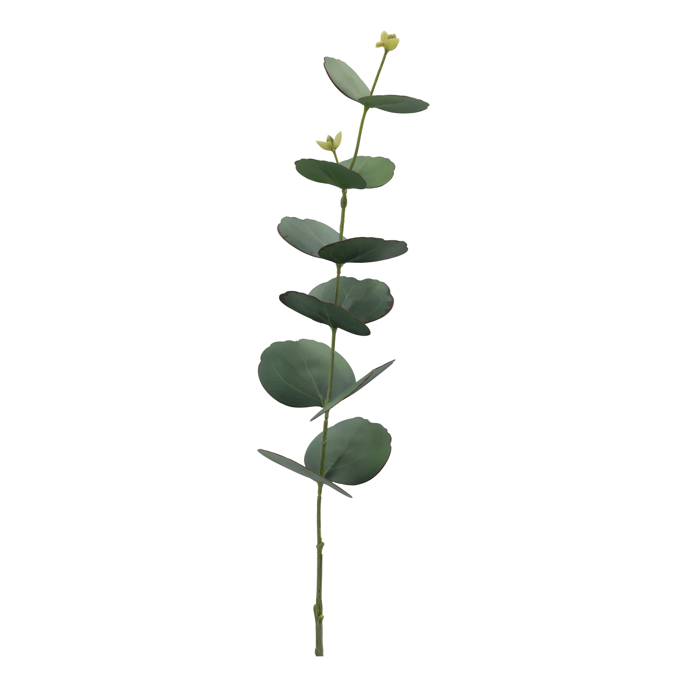 Fleur Eucalyptus Silk Touch H77 cm green