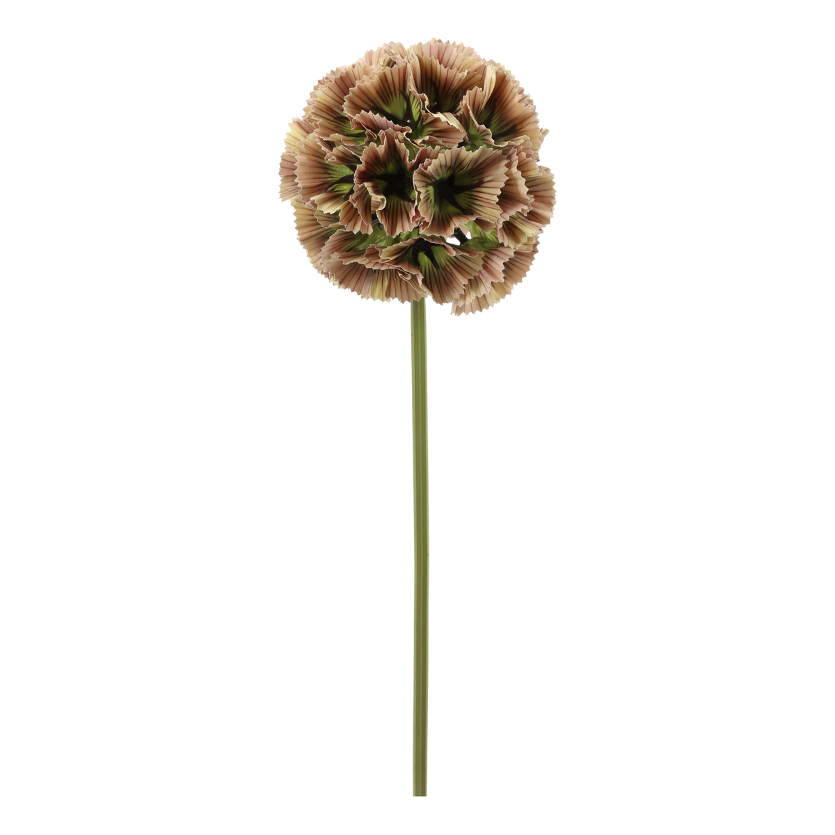 Kunstblume Fleur Stern-Skabiose in Dusty Rose, 55 cm