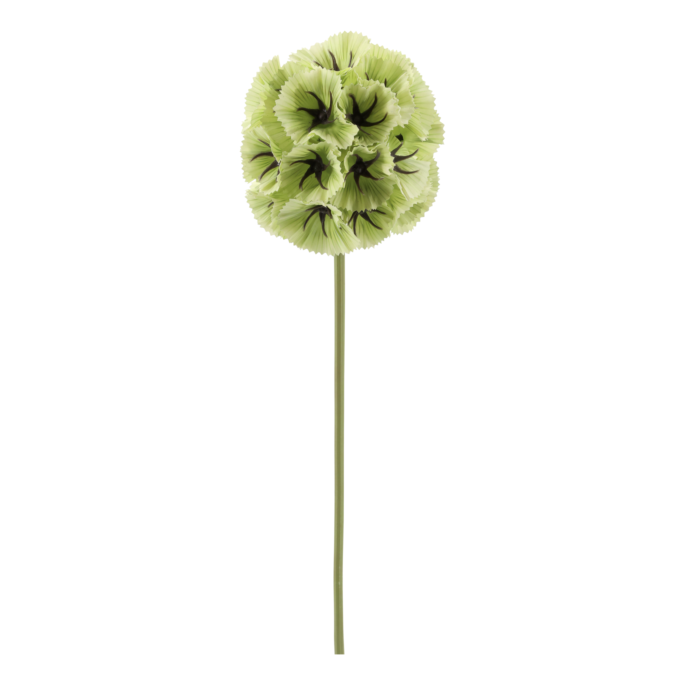 Kunstblume Fleur Stern-Skabiose, 55 cm hoch, lime