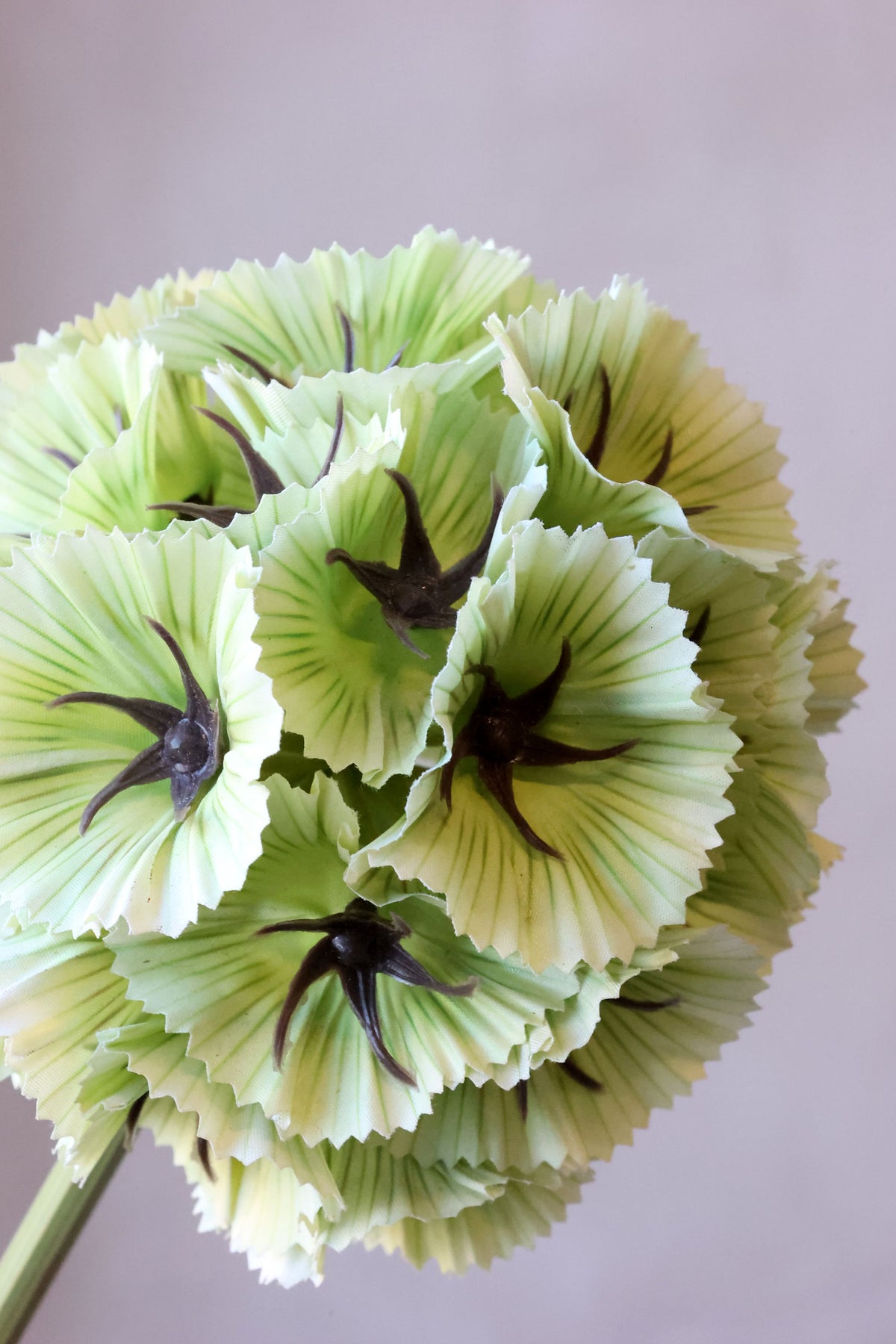 Kunstblume Fleur Stern-Skabiose, 55 cm hoch, lime