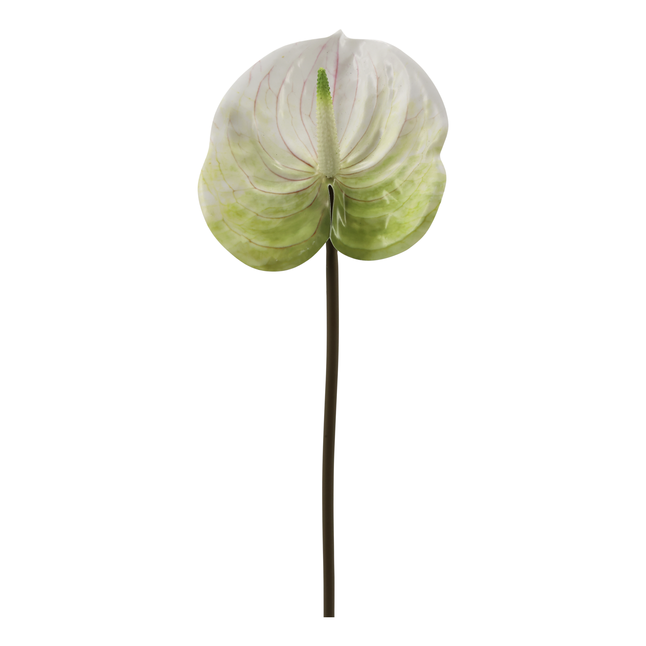 Fleur Flamingo Flower H58 cm white