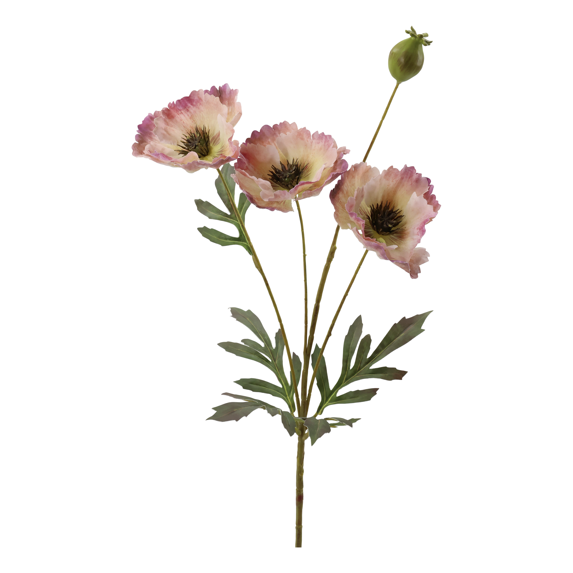 Fleur Poppy H69 cm rose