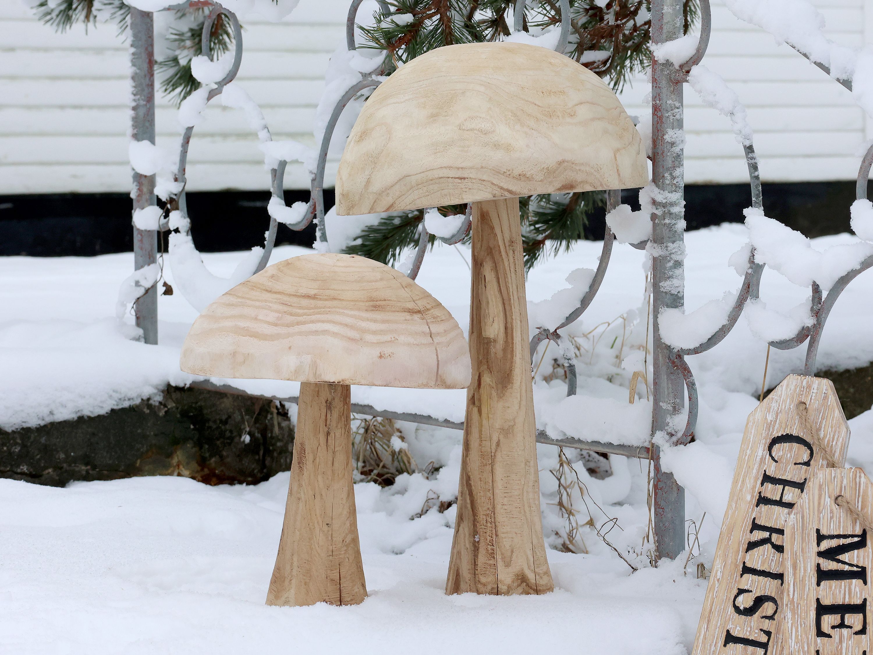 Deko Pilz aus Kaiserinbaum, 60,5 cm hoch, natur