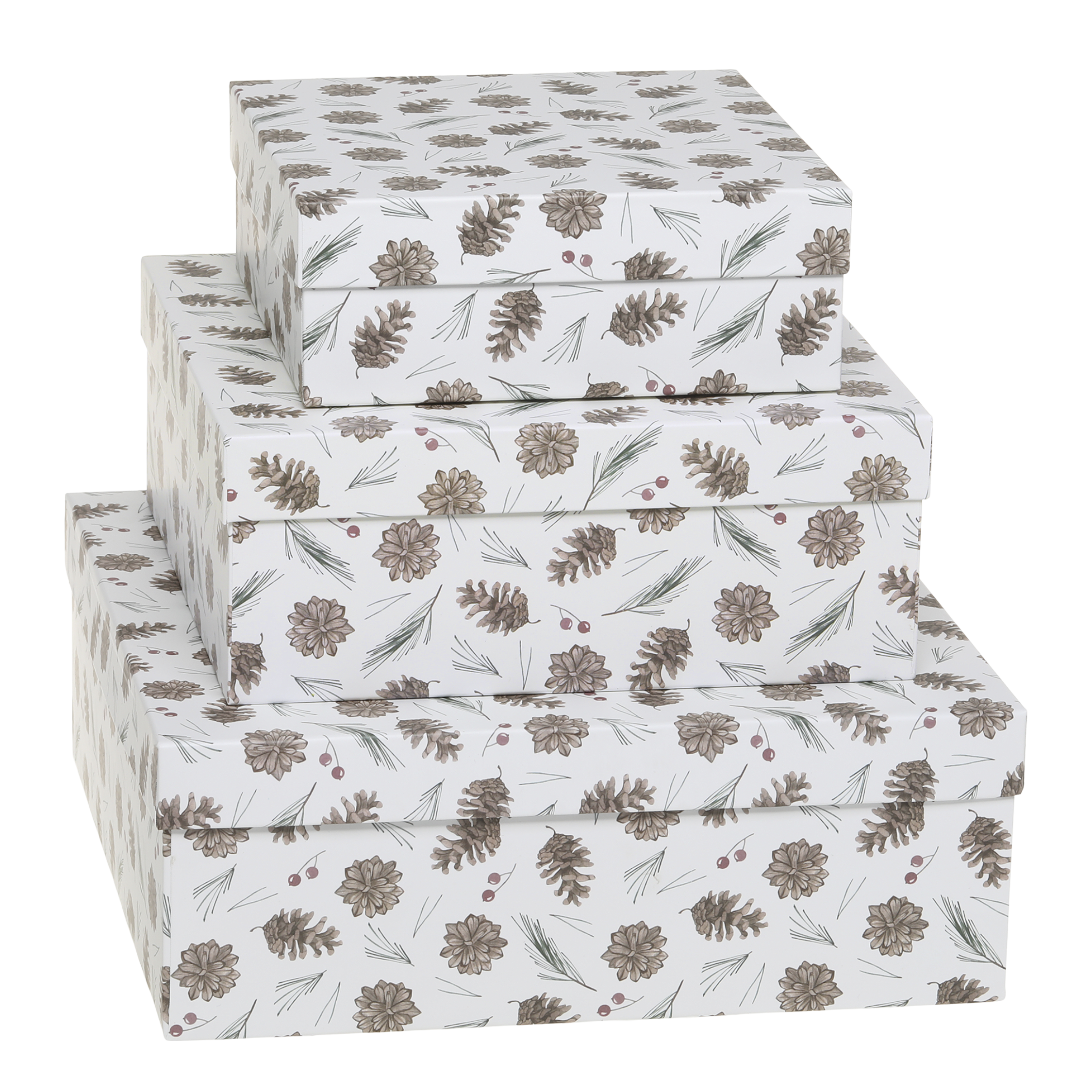 Box w. pine cones set of 3 H9/L25/W25 cm white