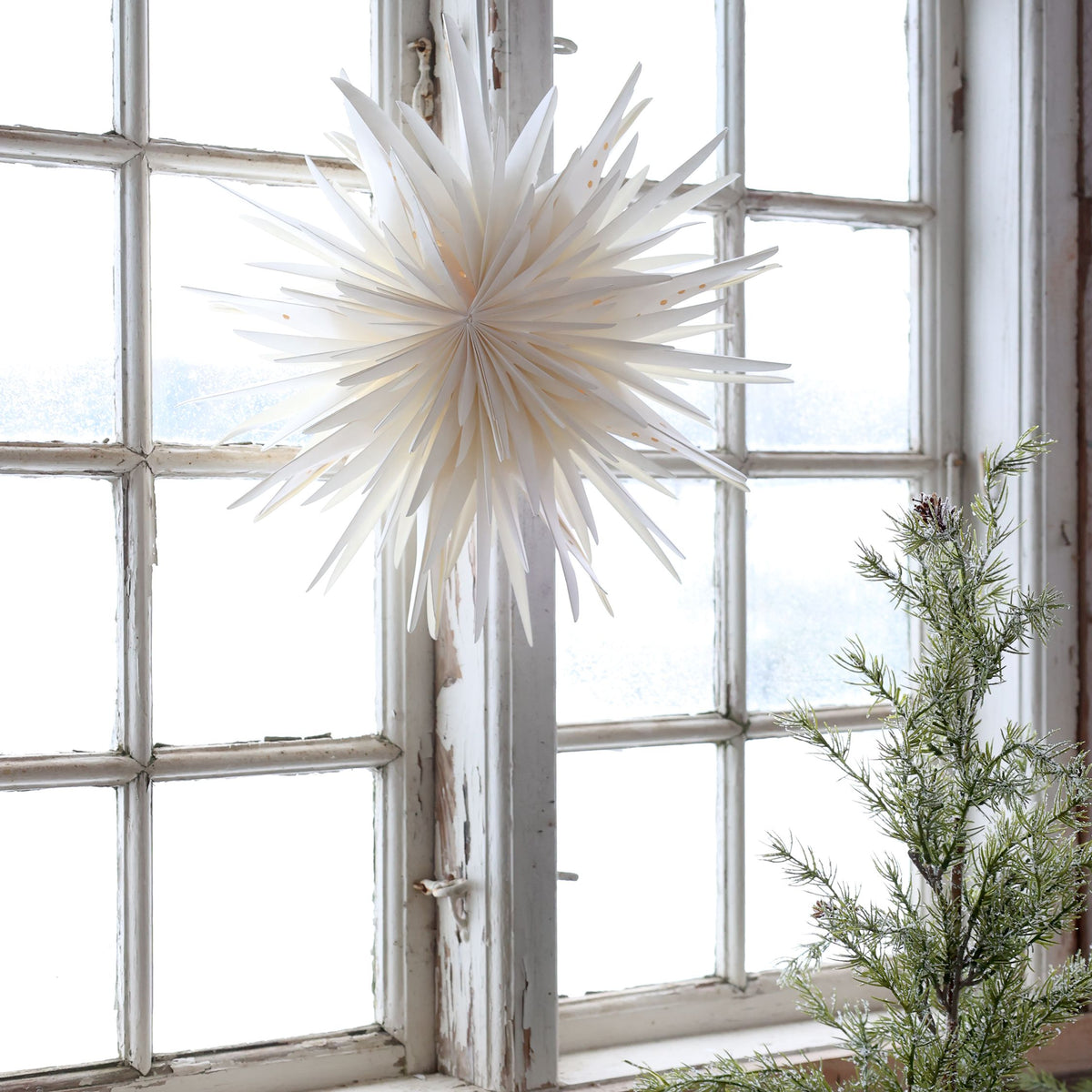 Papierstern 40 cm Durchmesser creme – Deko