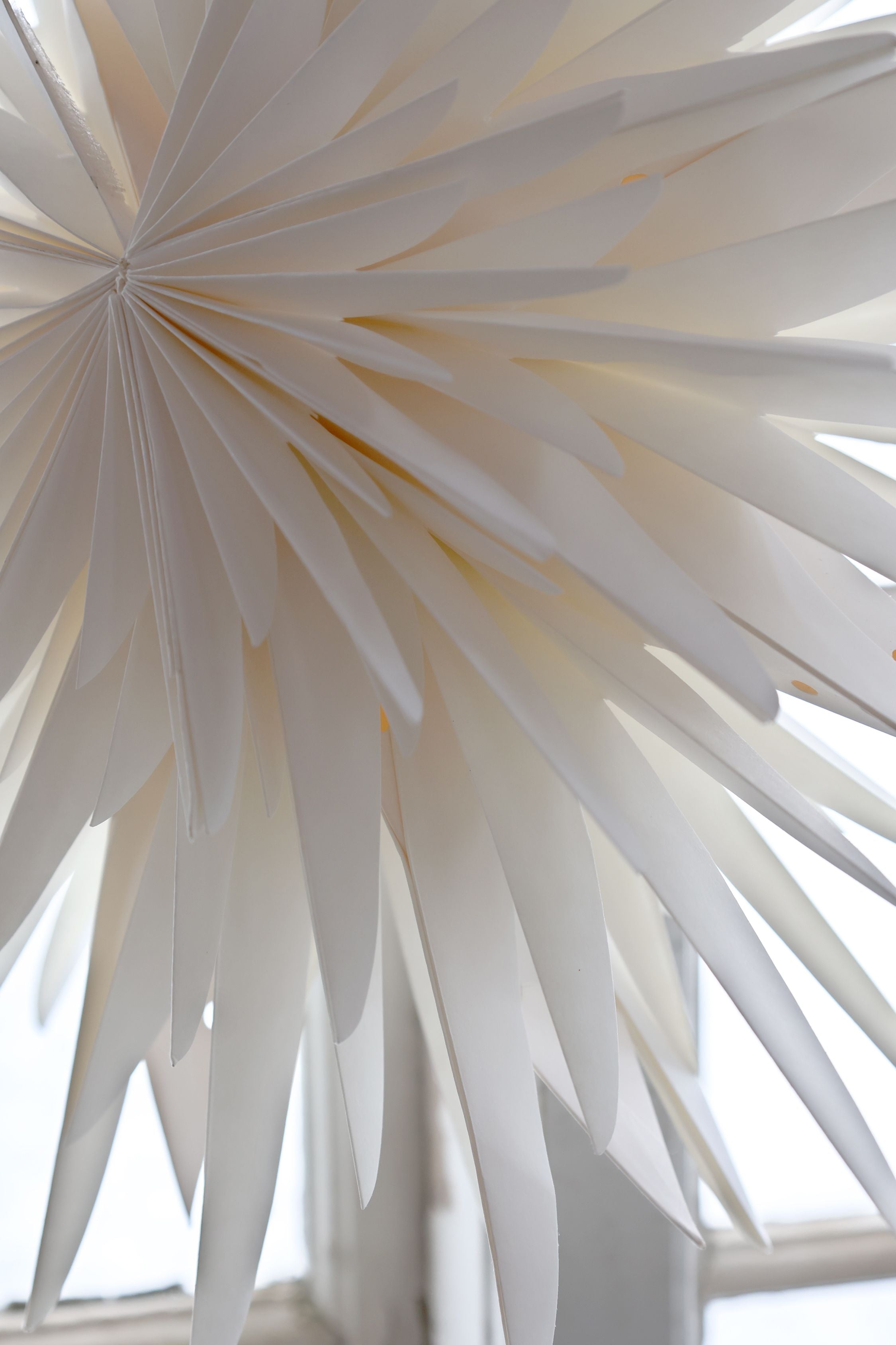 Papierstern 40 cm Durchmesser creme – Deko