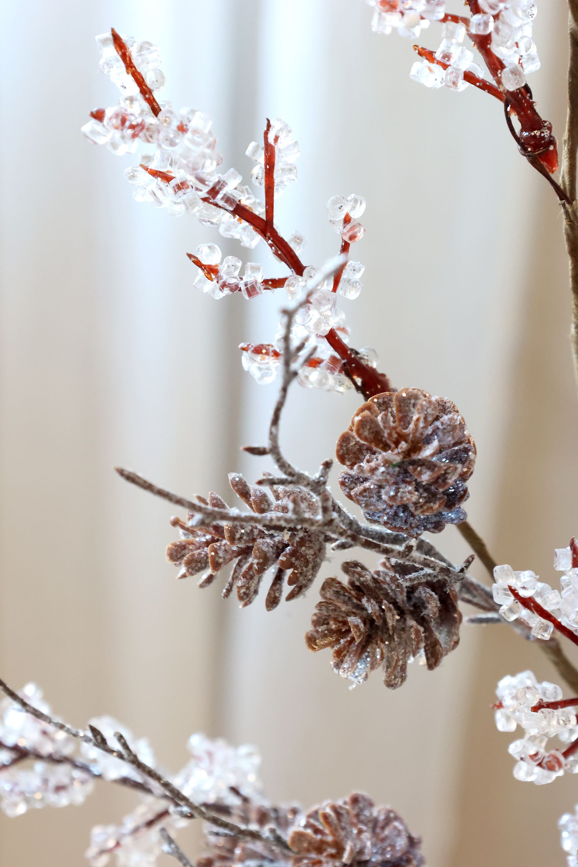 Zweig mit Frosting und Zapfen, 72 cm hoch, natur