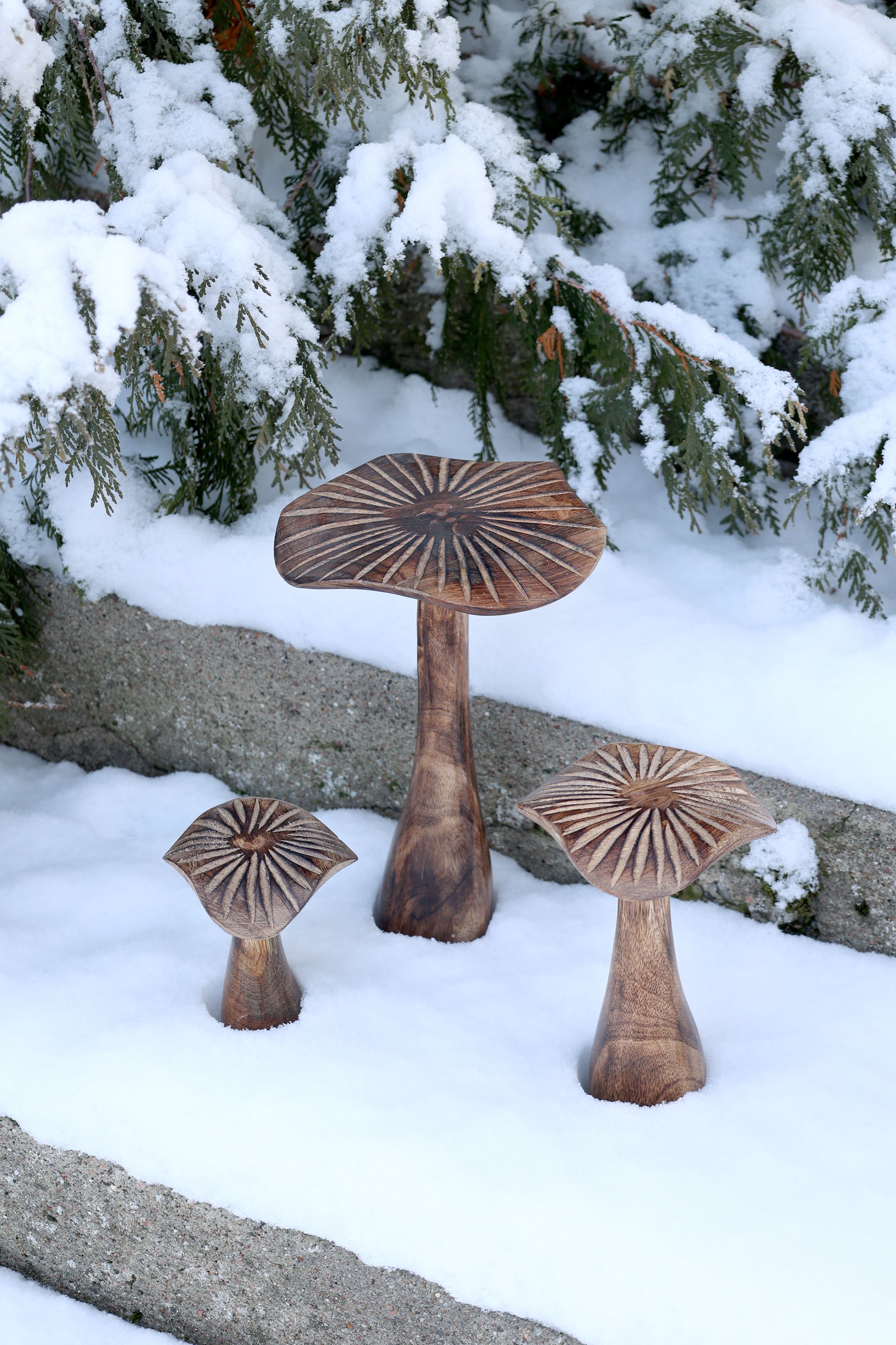 Deko Pilze aus Mangoholz, 3er-Set, natur