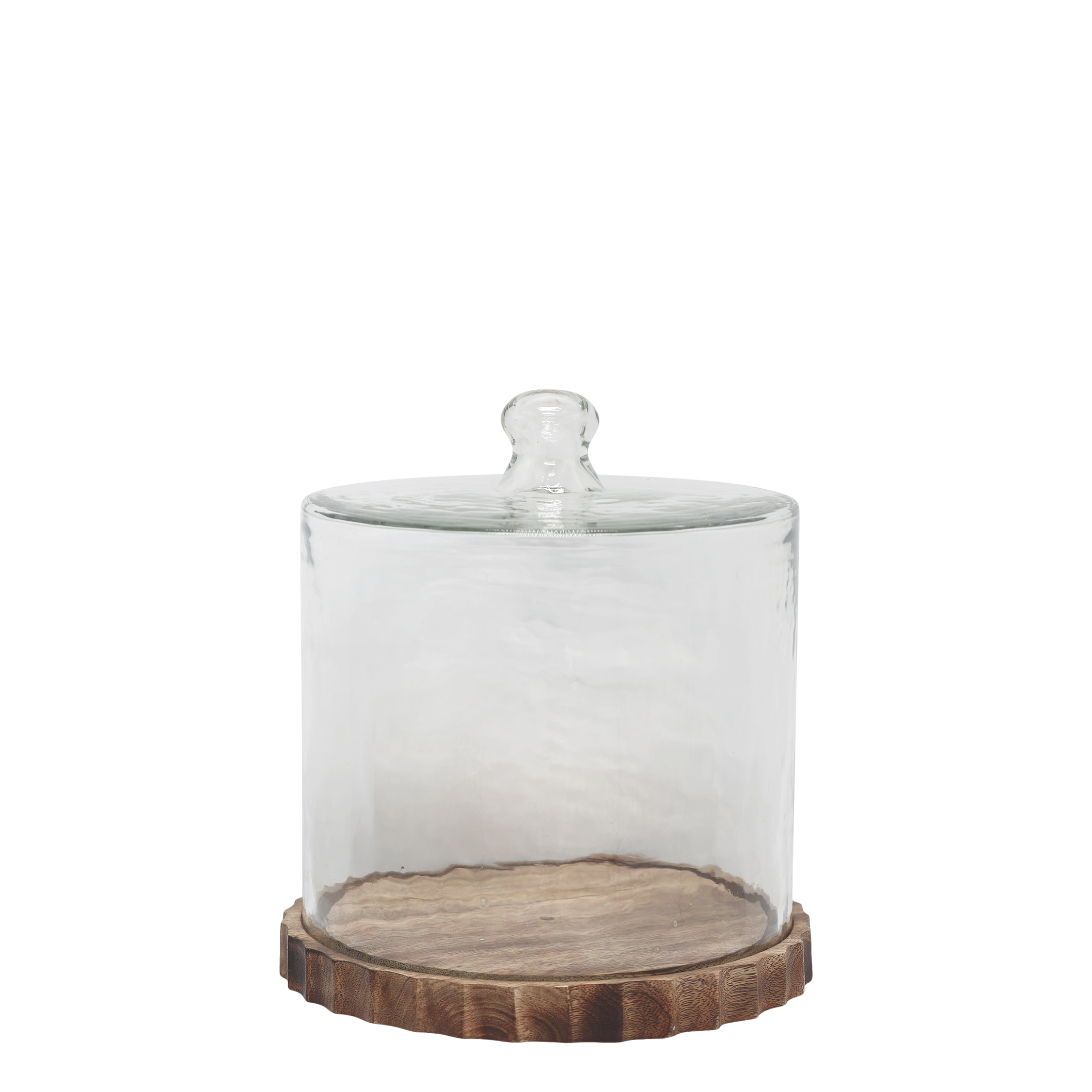 Glass Dome on tray H25/D22.5 cm clear and nature