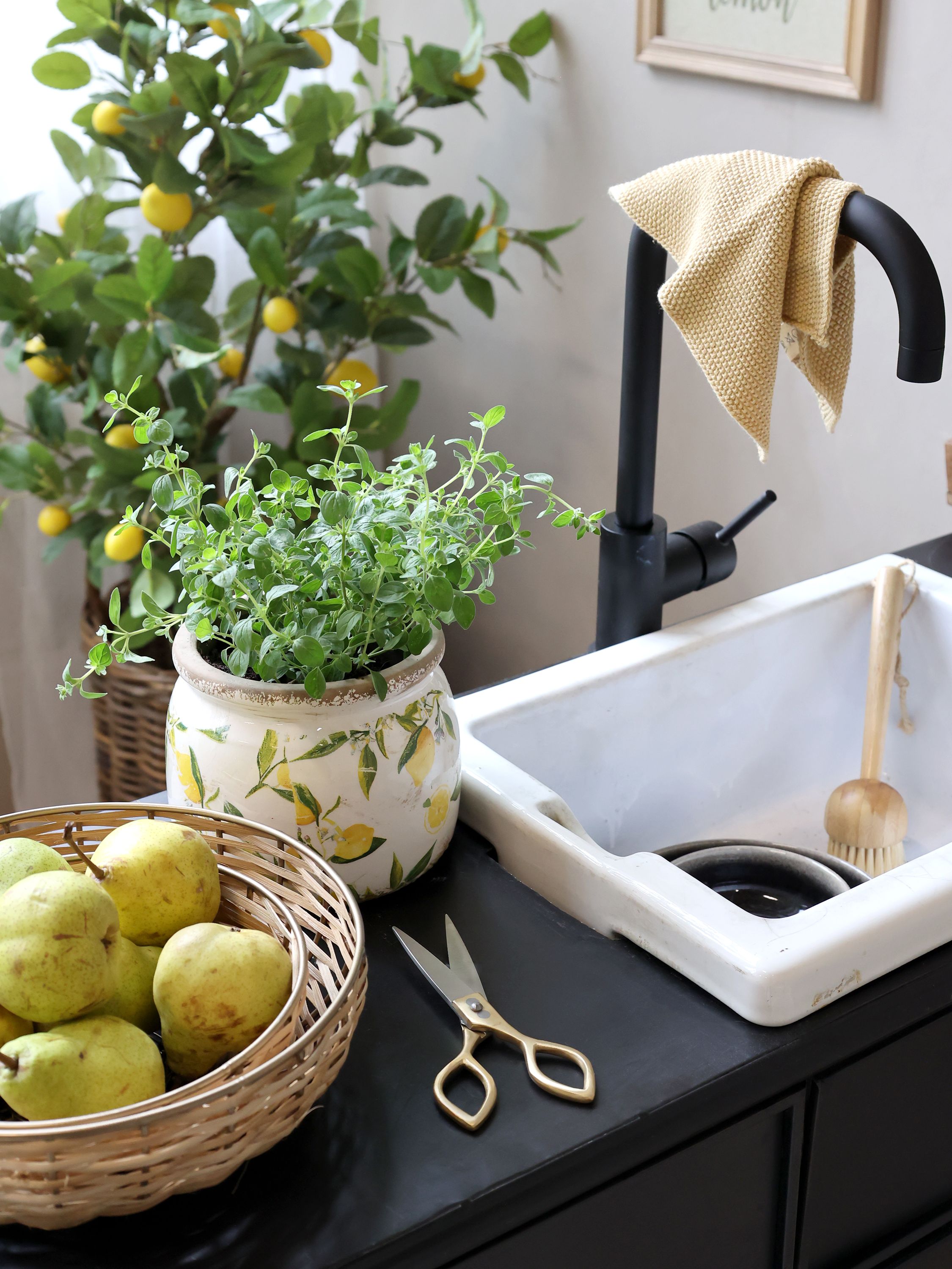 Limone Blumentopf mit Zitronenmotiv, 15,5 cm creme