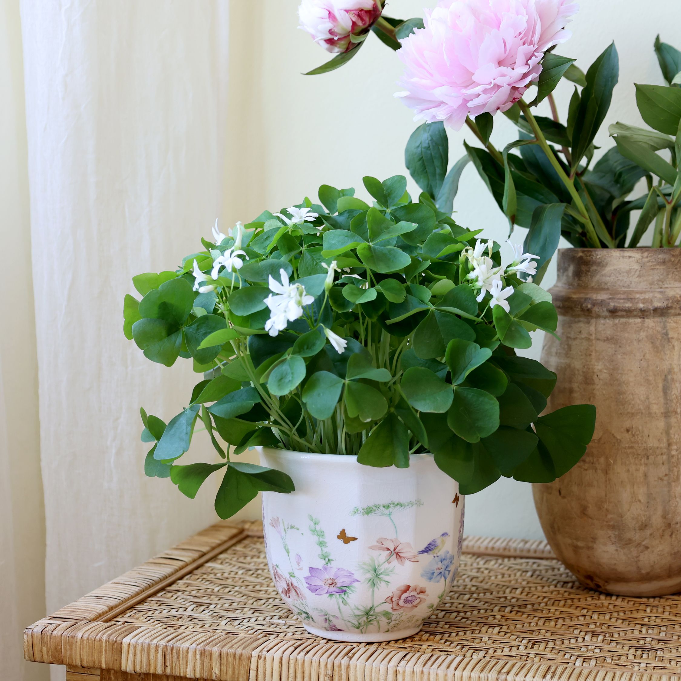 Blumen Übertopf Papillon aus Keramik, creme, 12,5 cm hoch