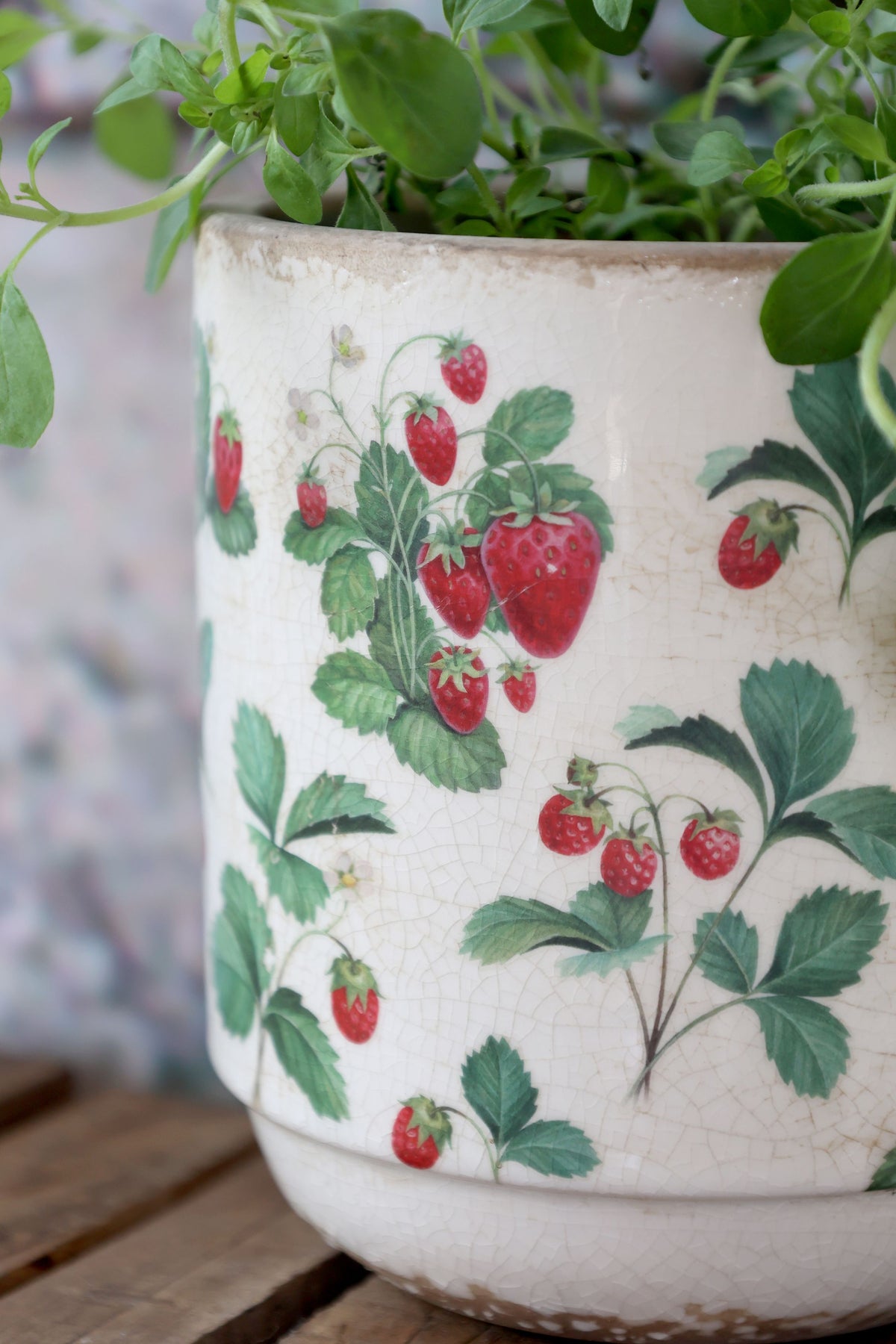 Fraises Übertopf mit Erdbeeren, 13 cm, creme