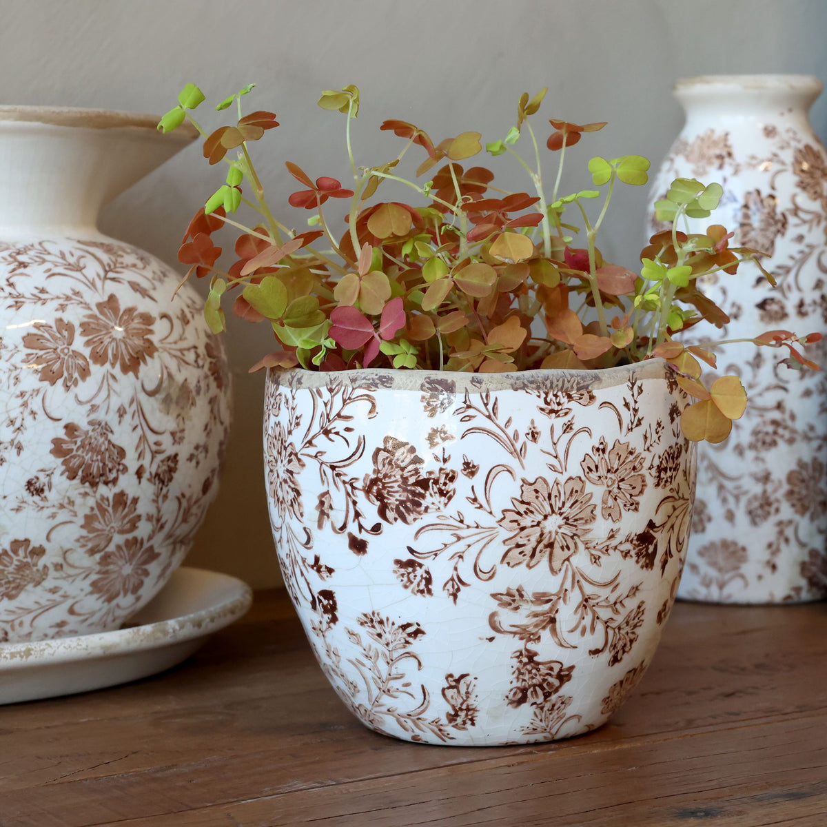 Grenoble Übertopf mit Blumenmotiv, Mokka, Höhe 13 cm