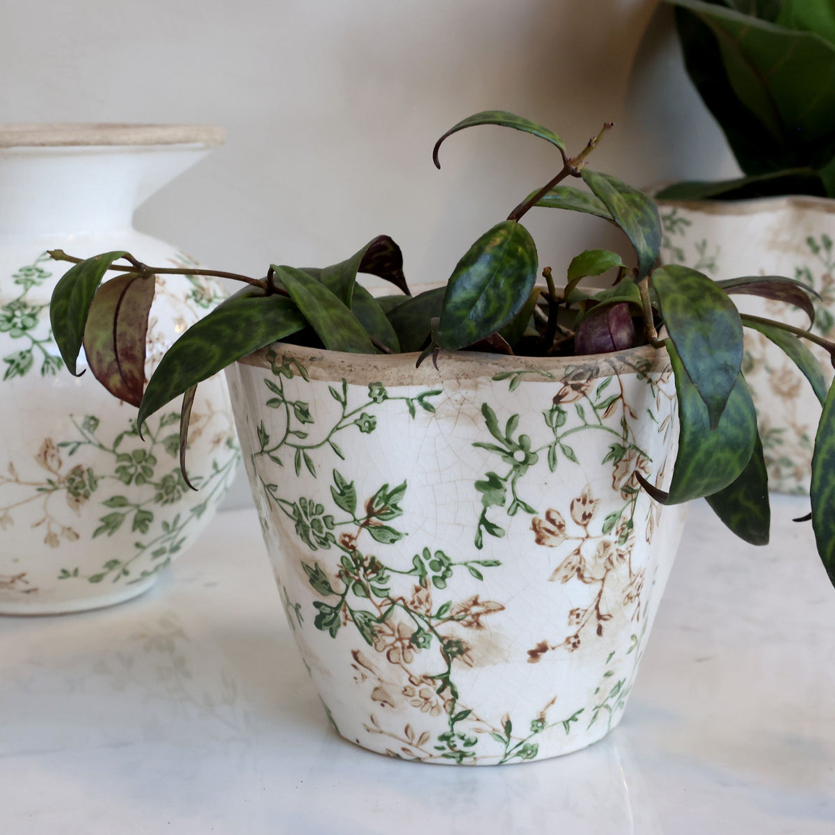 Grasse Übertopf mit Zweigmotiv, Keramik, creme, 13 cm hoch