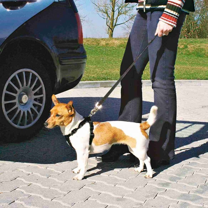 Trixie Auto-Sicherheitsgeschirr