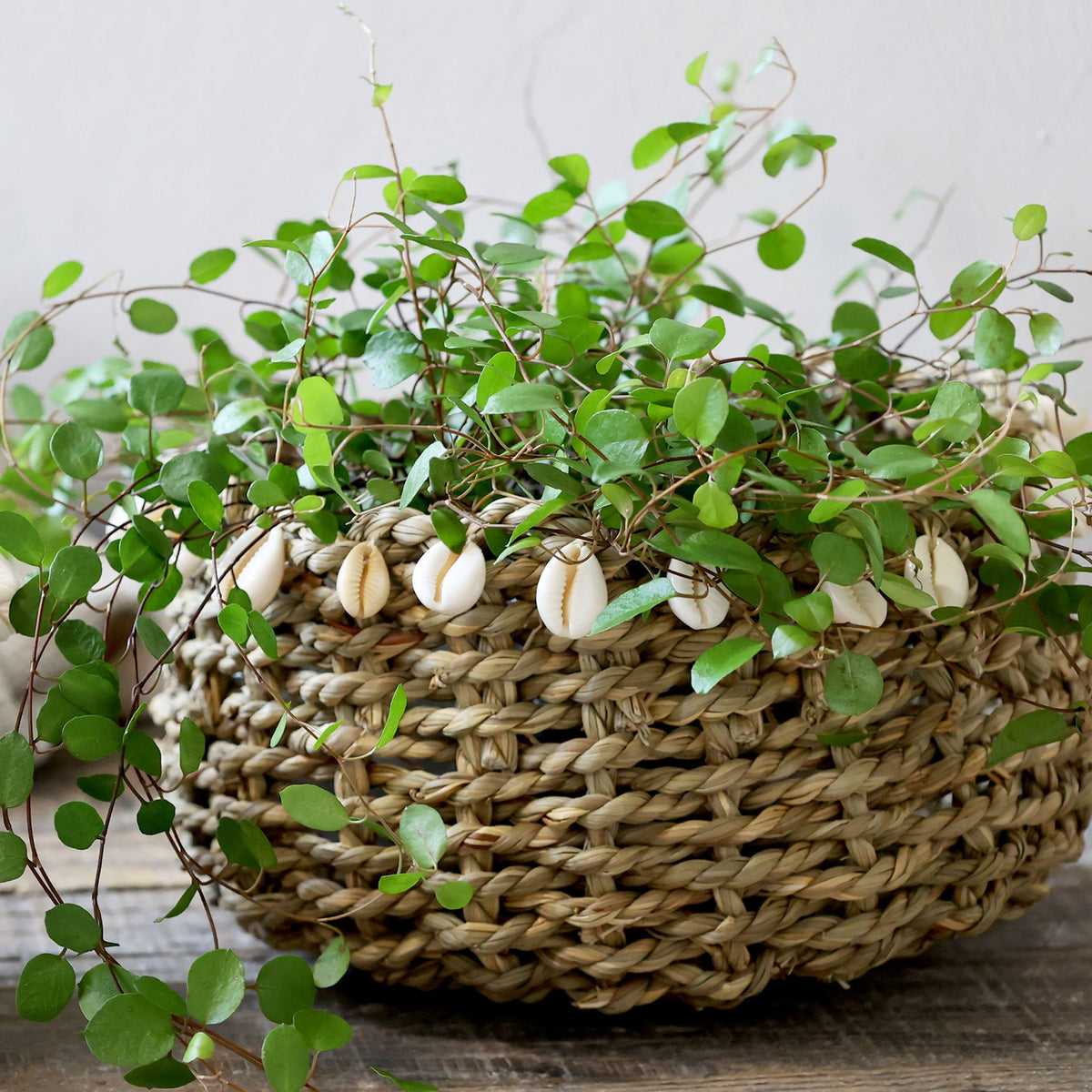 Geflochtener Korb mit Muscheln, 18 cm Durchmesser